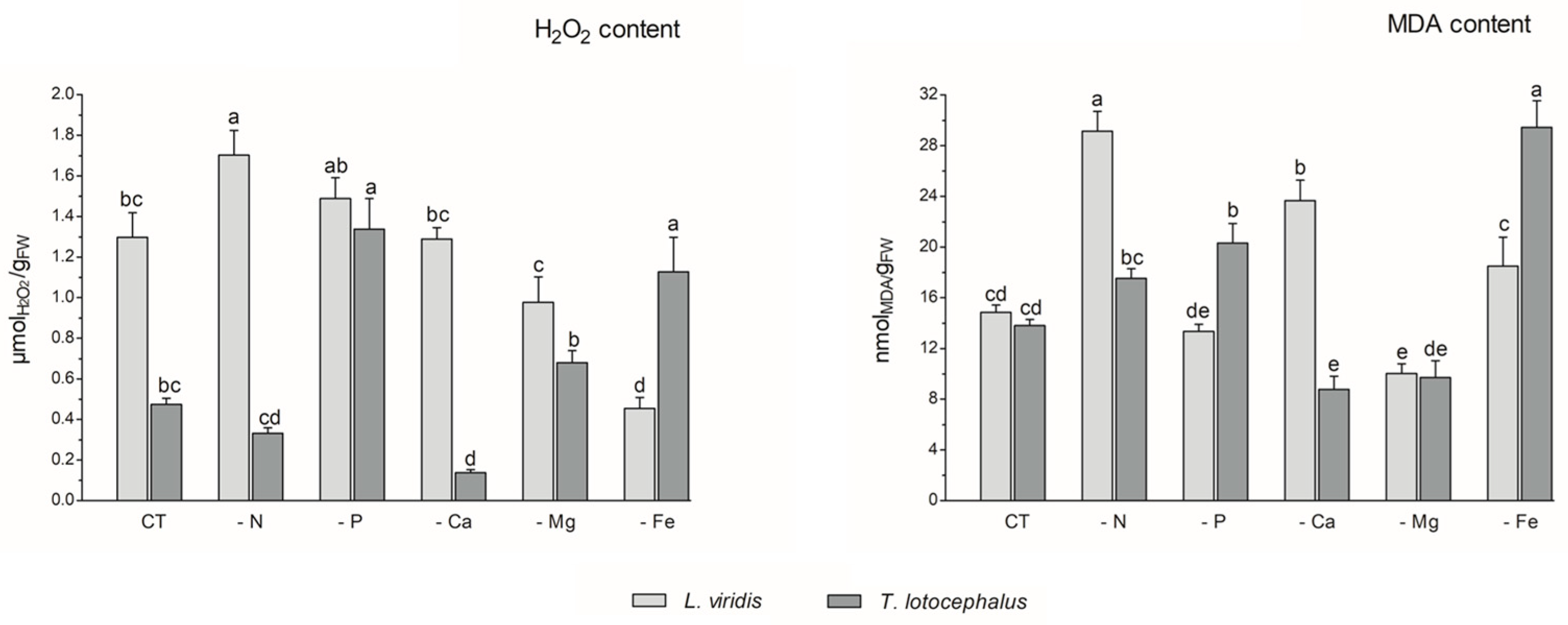 Horticulturae 10 00947 g003