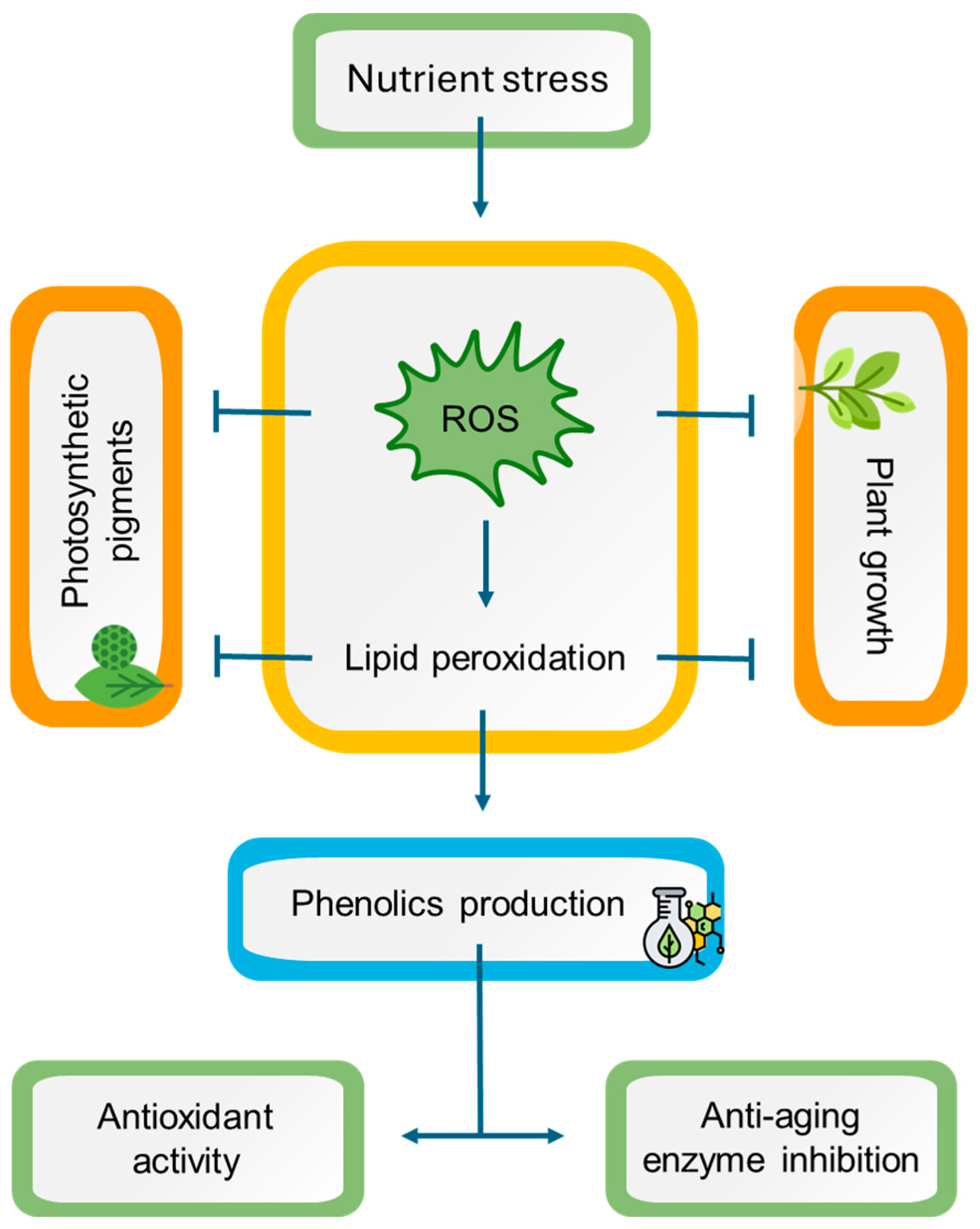 Horticulturae 10 00947 g009