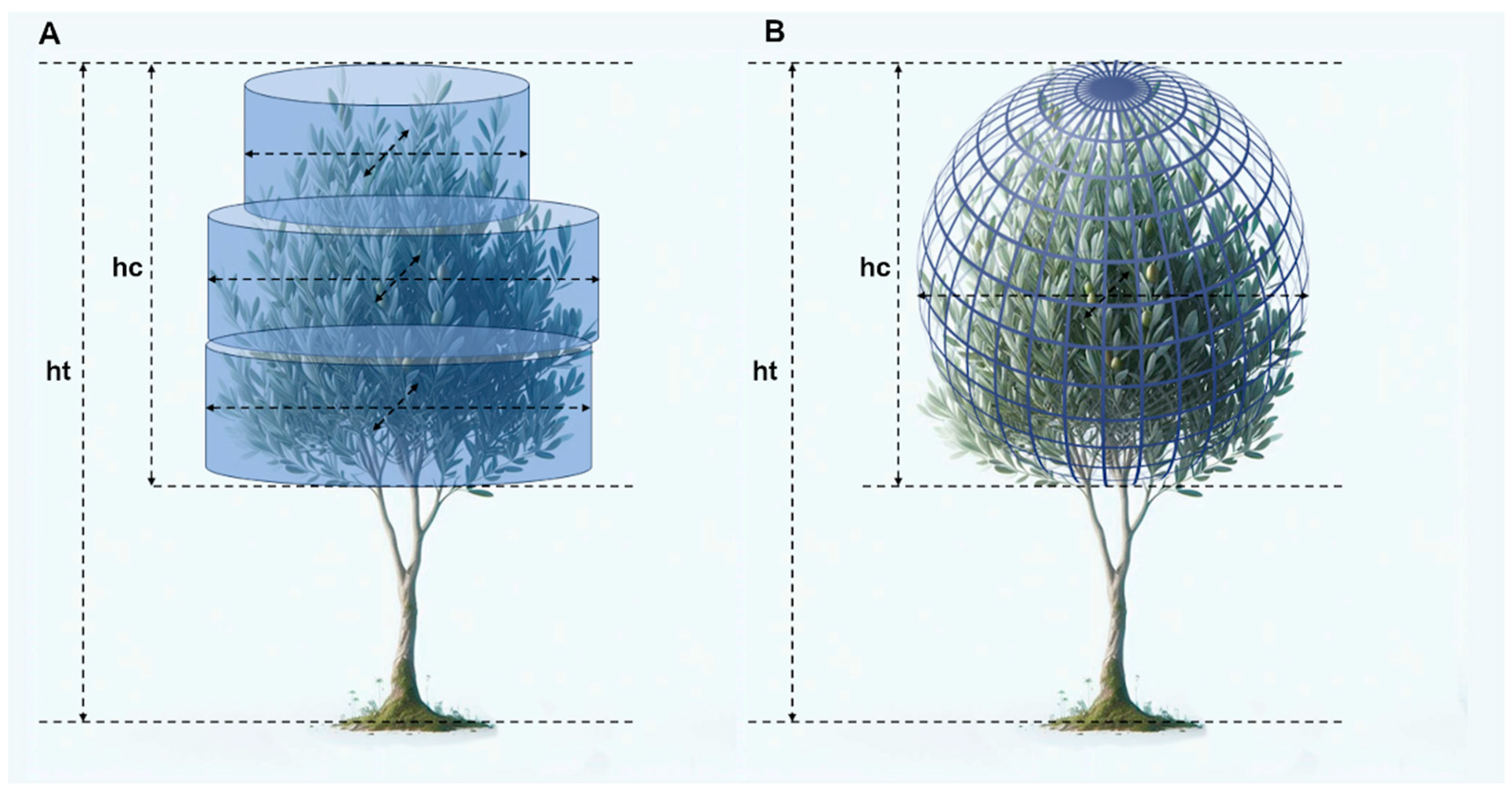 Horticulturae 10 00952 g004