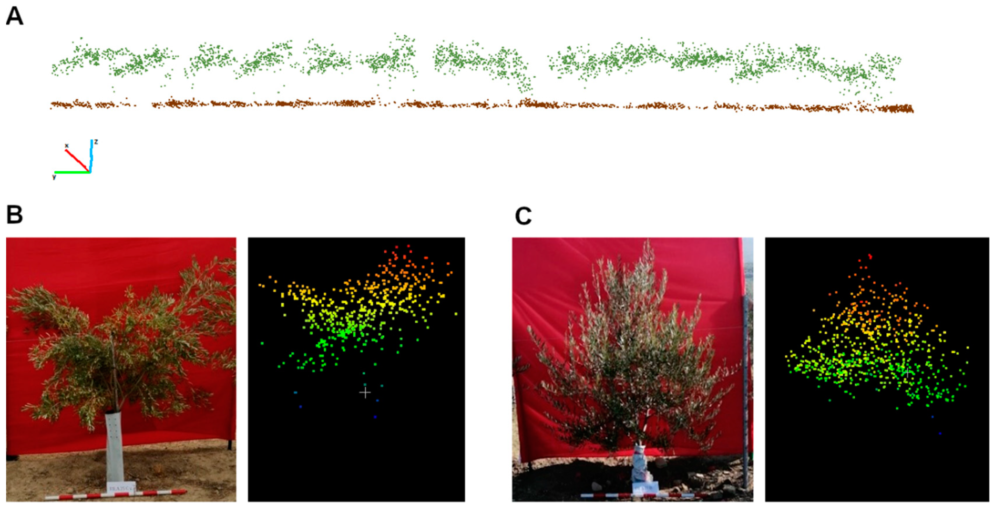 Horticulturae 10 00952 g005
