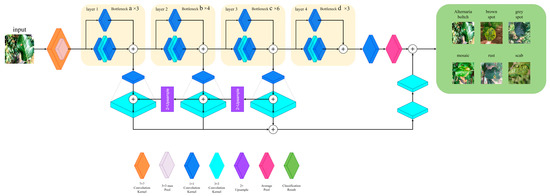 Horticulturae 10 00953 g0a1
