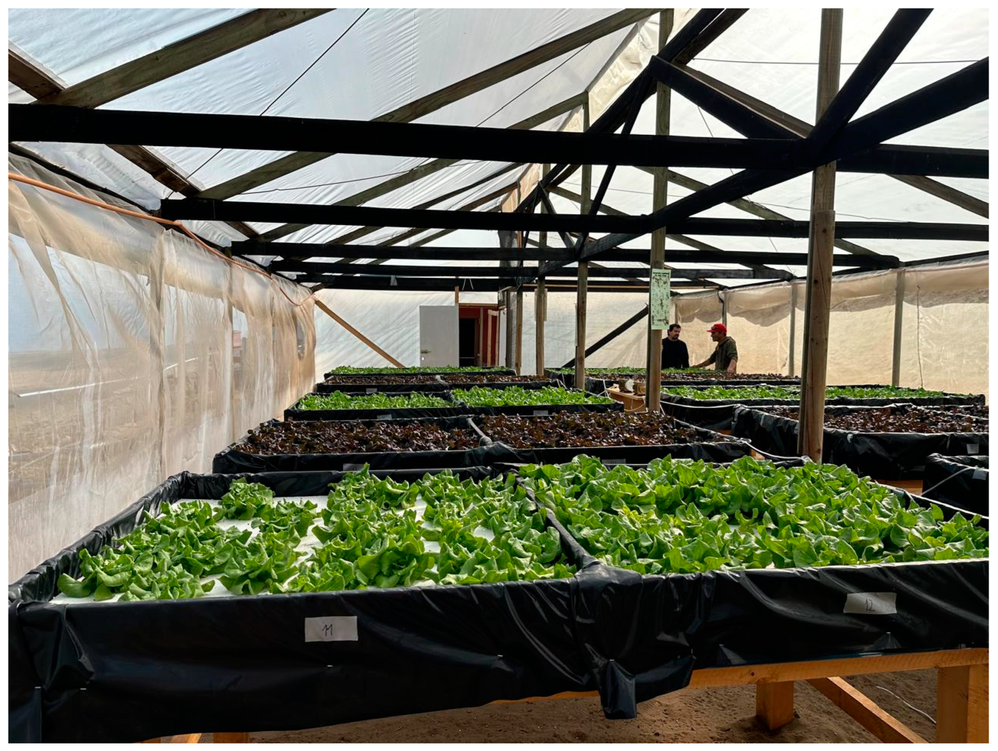 Horticulturae 10 00957 g002