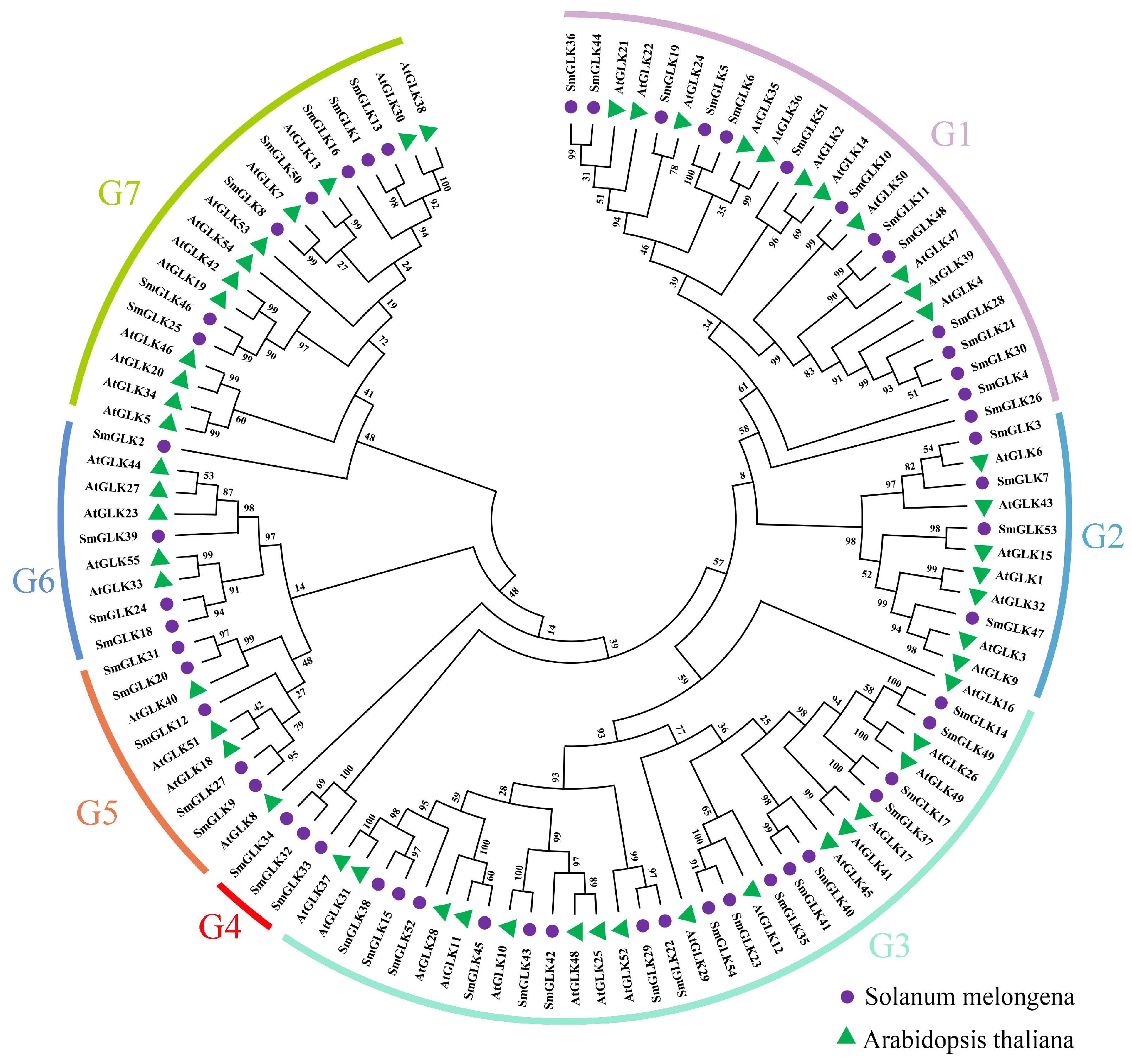 Horticulturae 10 00958 g001