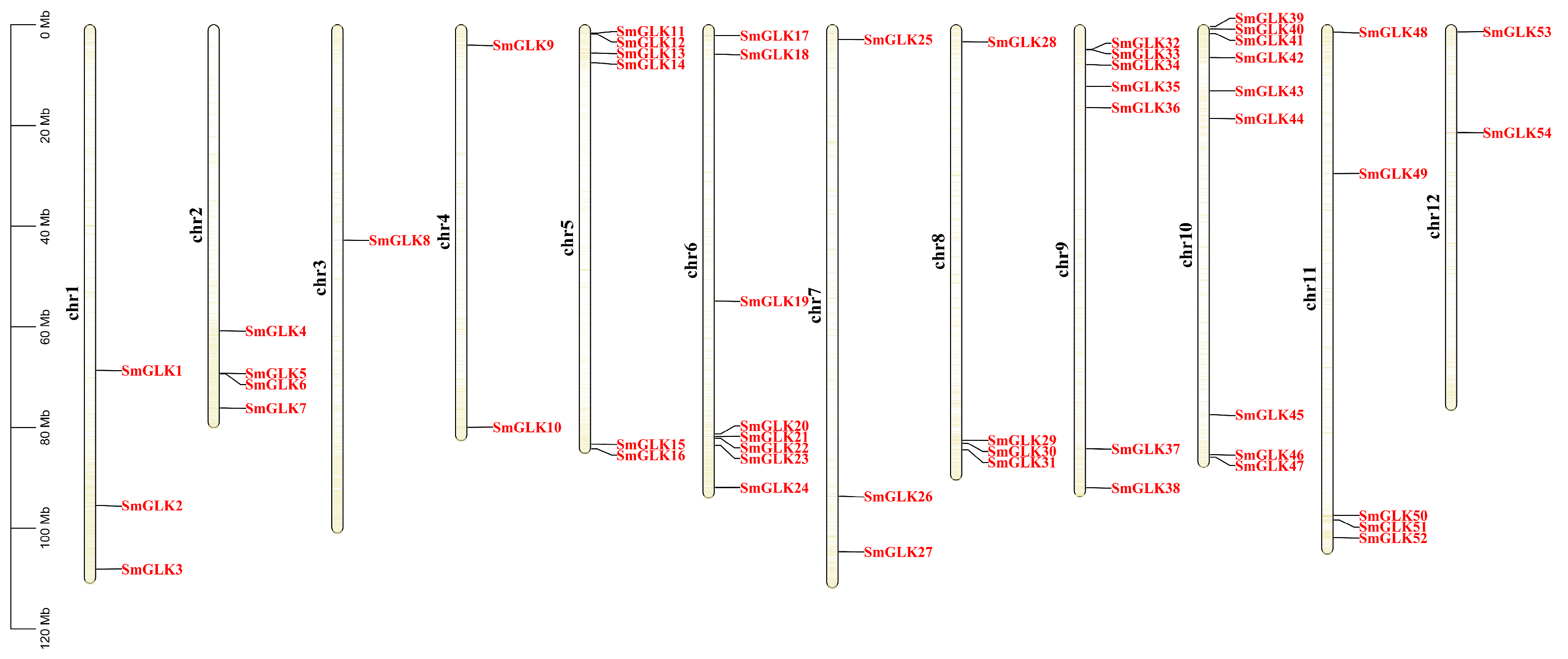 Horticulturae 10 00958 g003