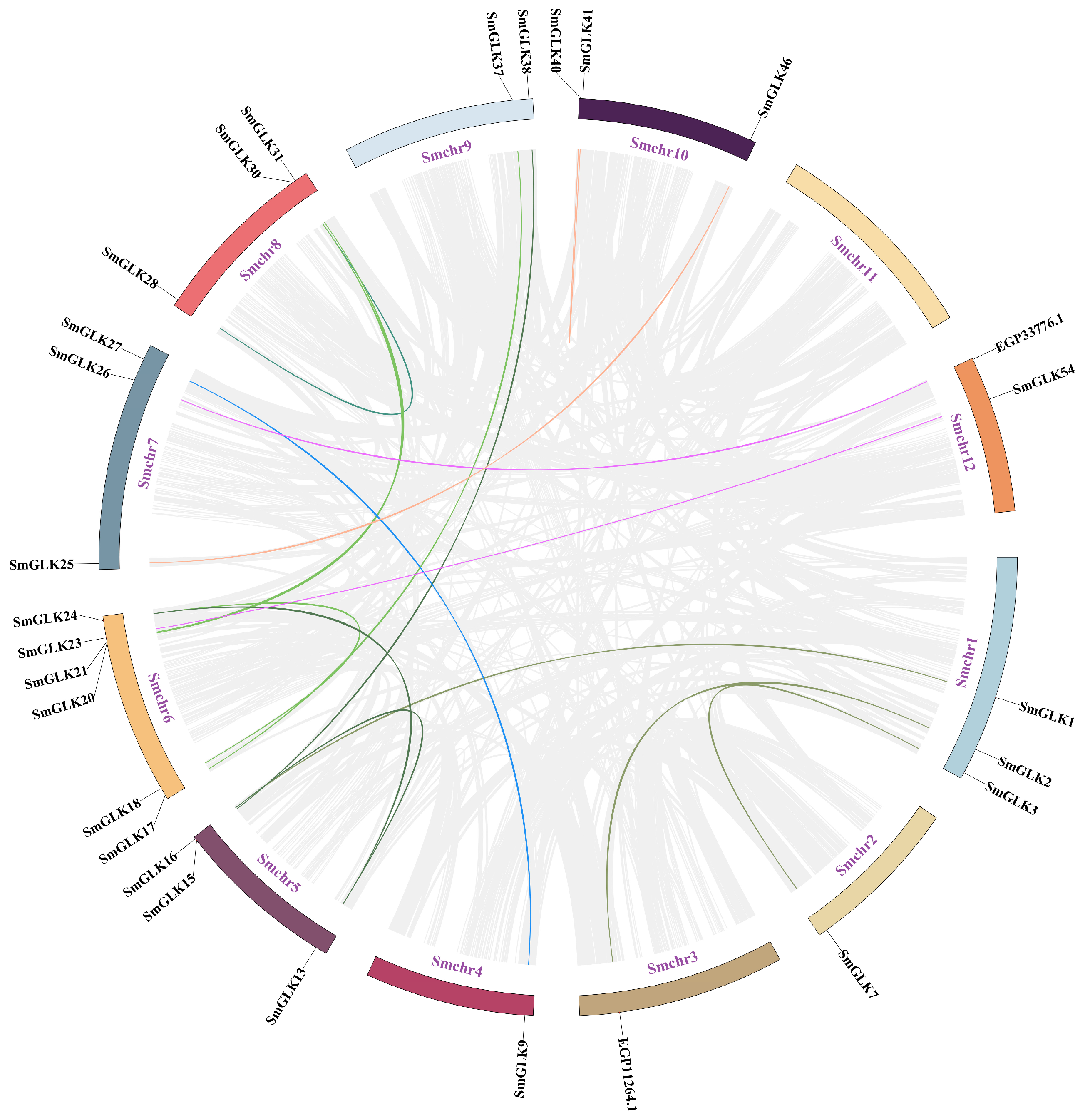 Horticulturae 10 00958 g004