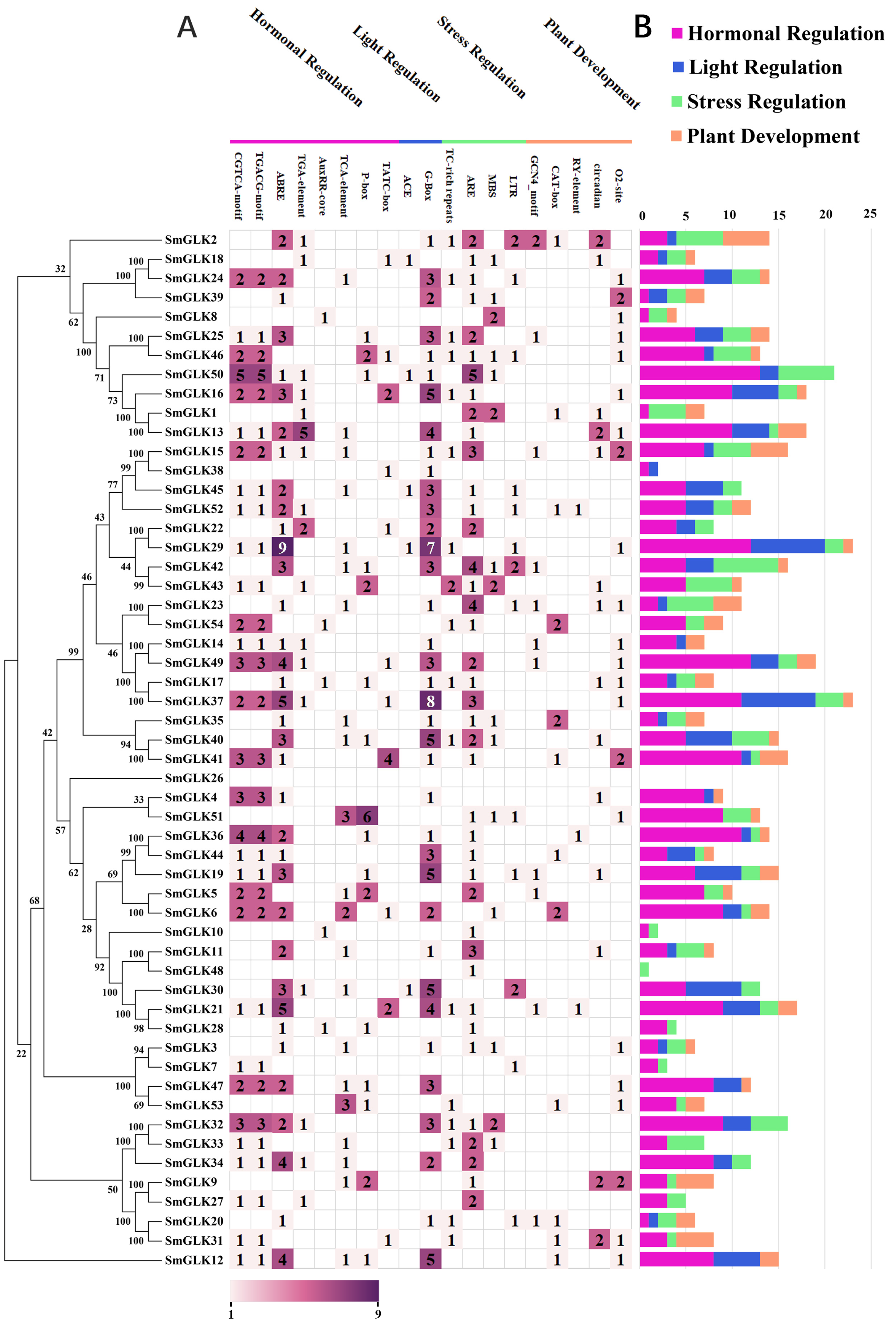 Horticulturae 10 00958 g006