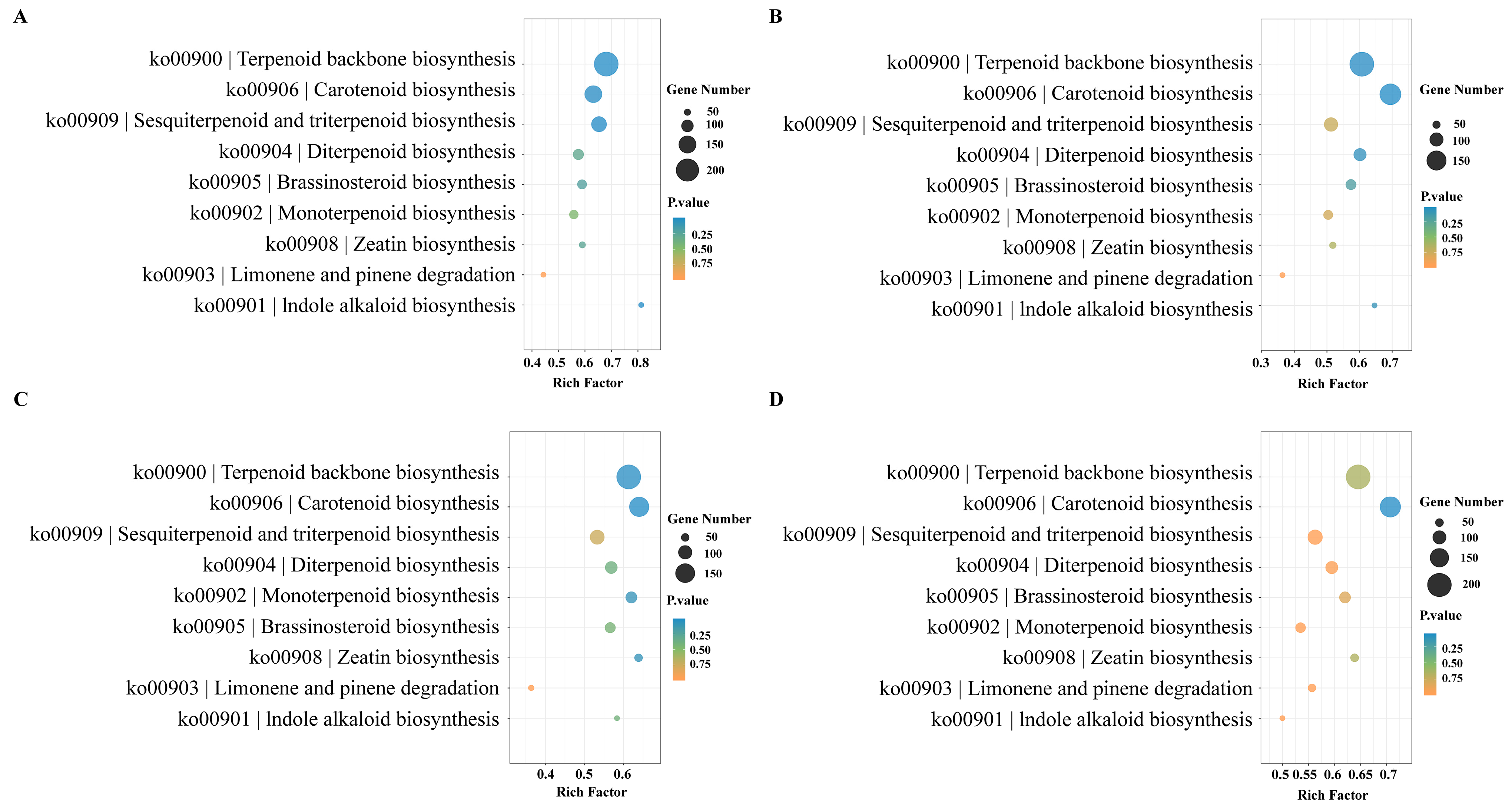 Horticulturae 10 00959 g005