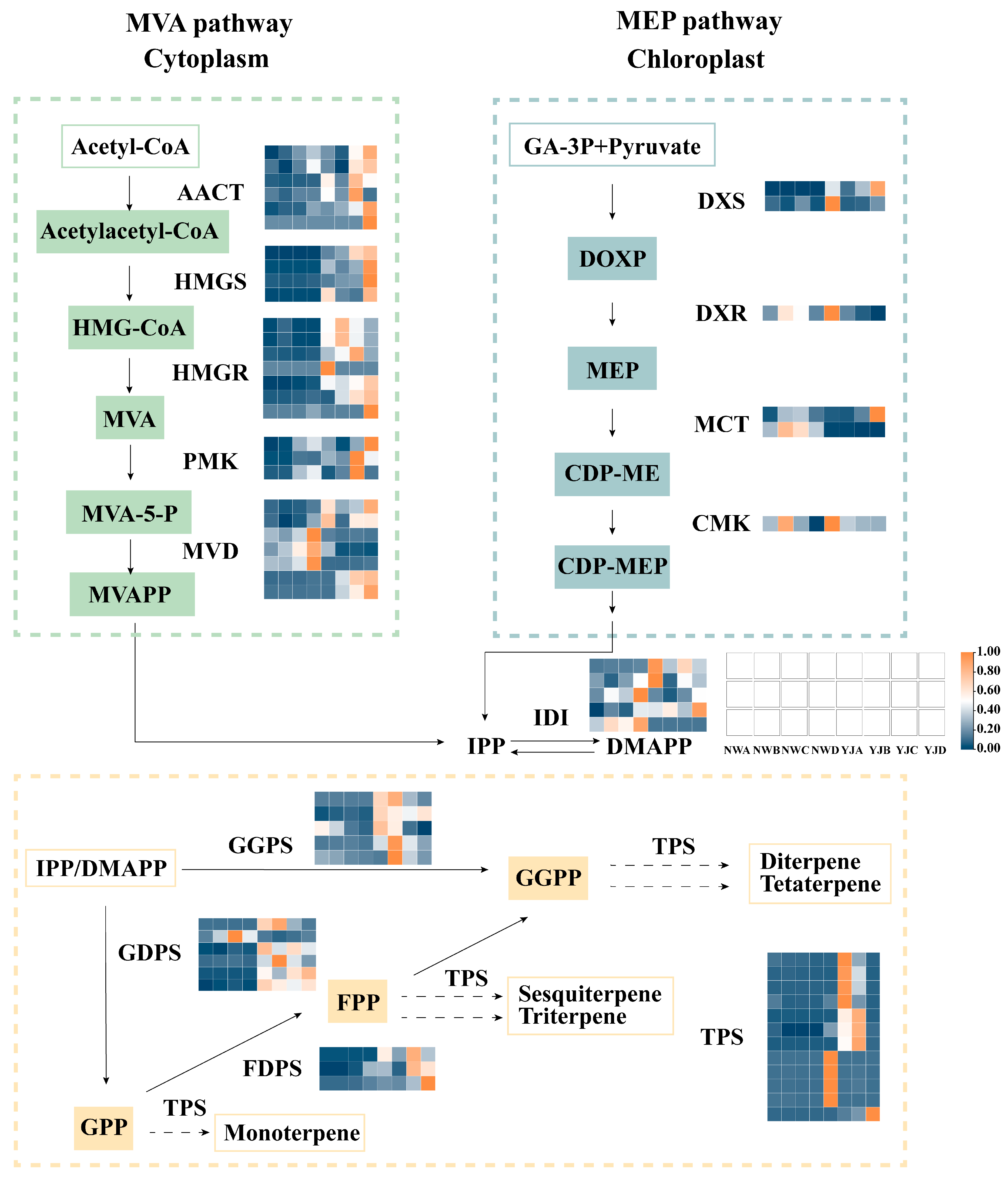 Horticulturae 10 00959 g007