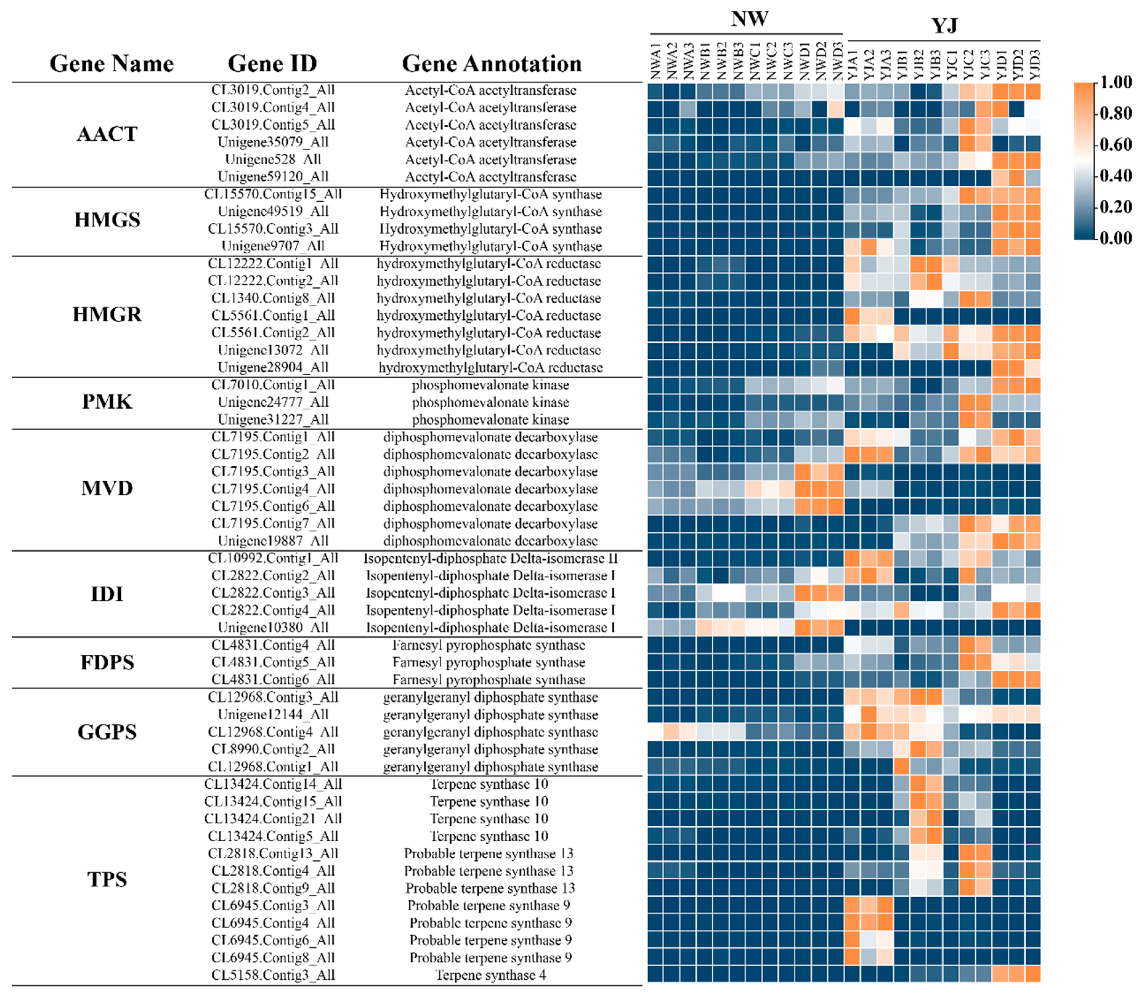 Horticulturae 10 00959 g008