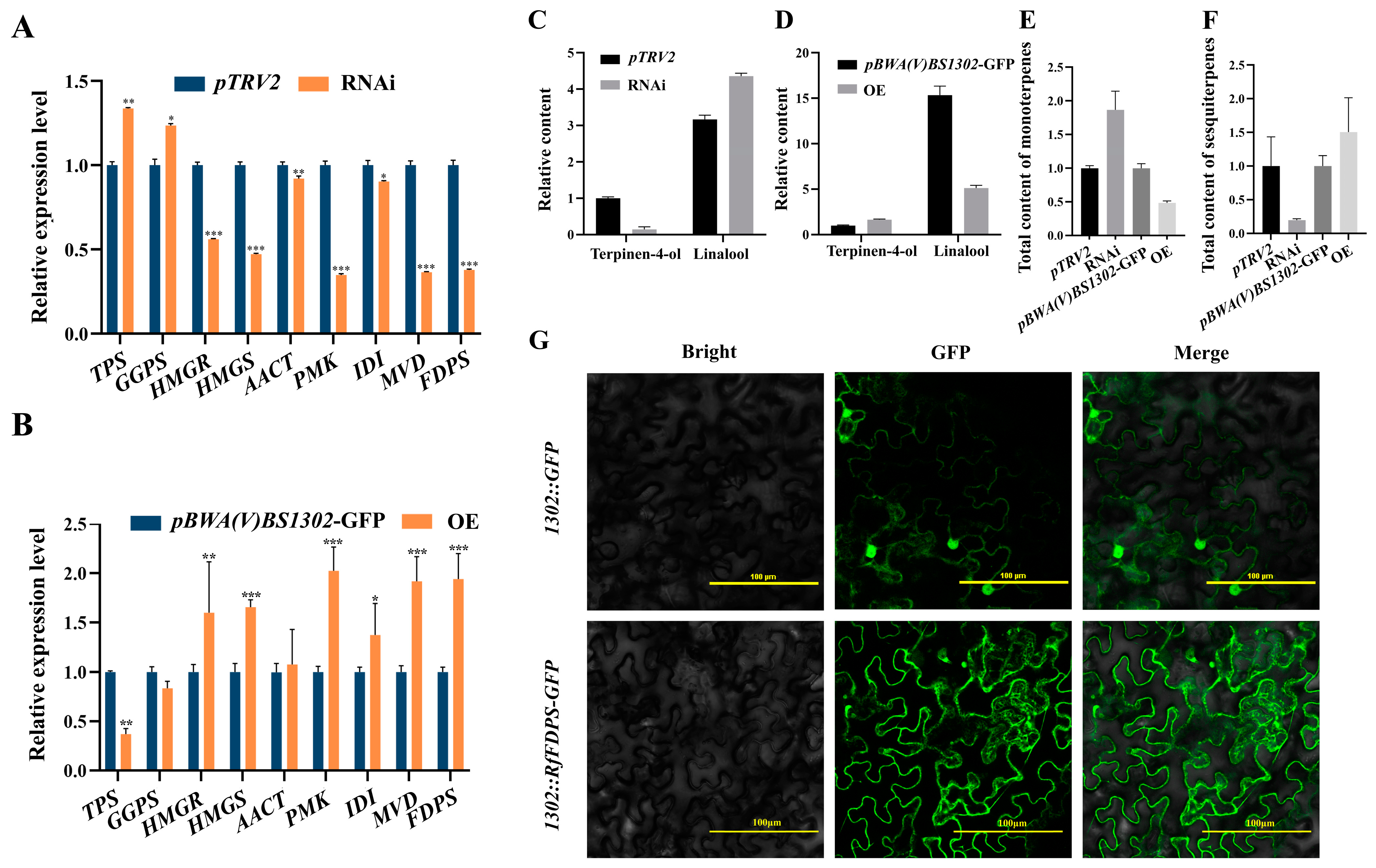 Horticulturae 10 00959 g011