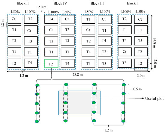 Horticulturae 10 00969 g0a1