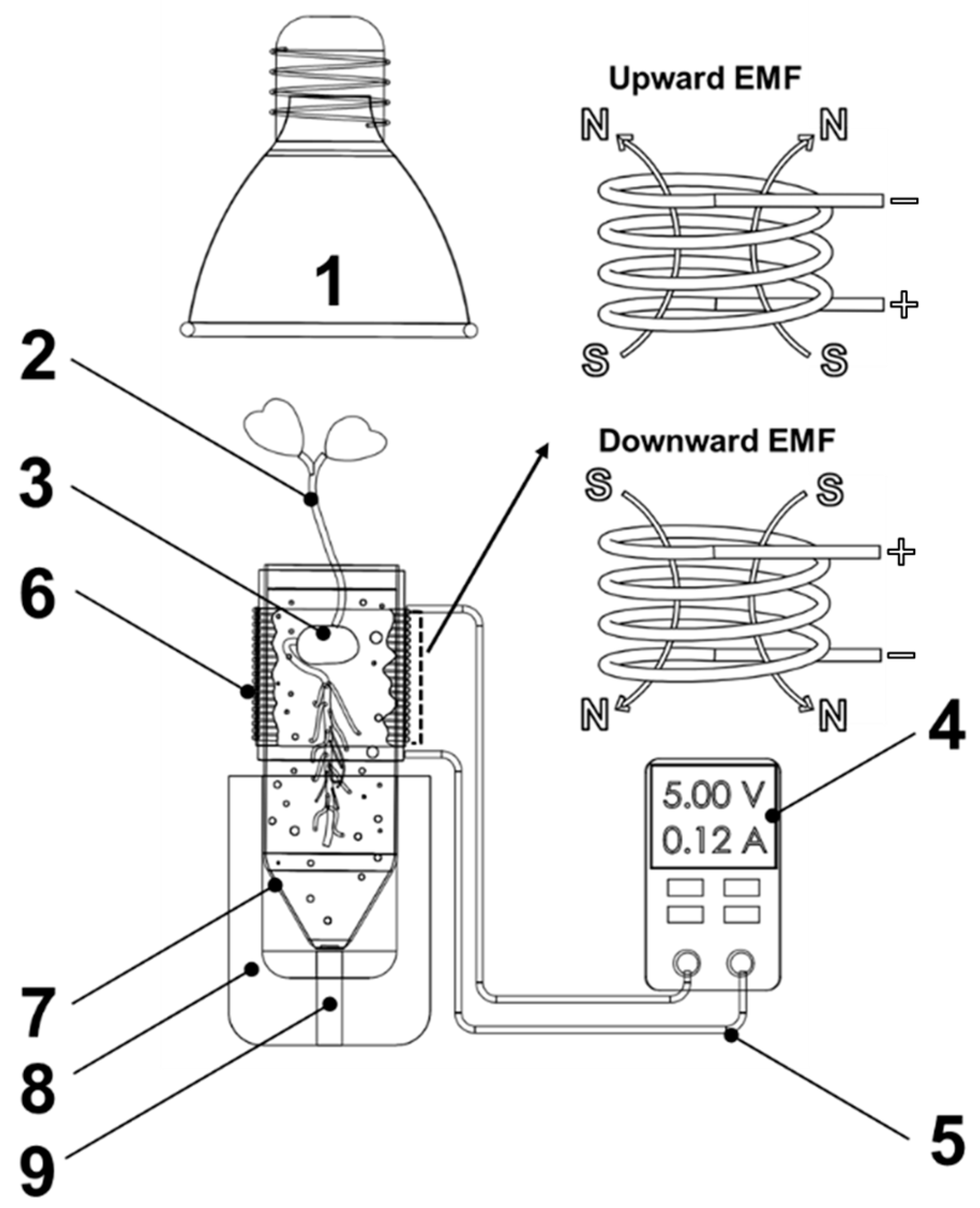 Horticulturae 10 00973 g001