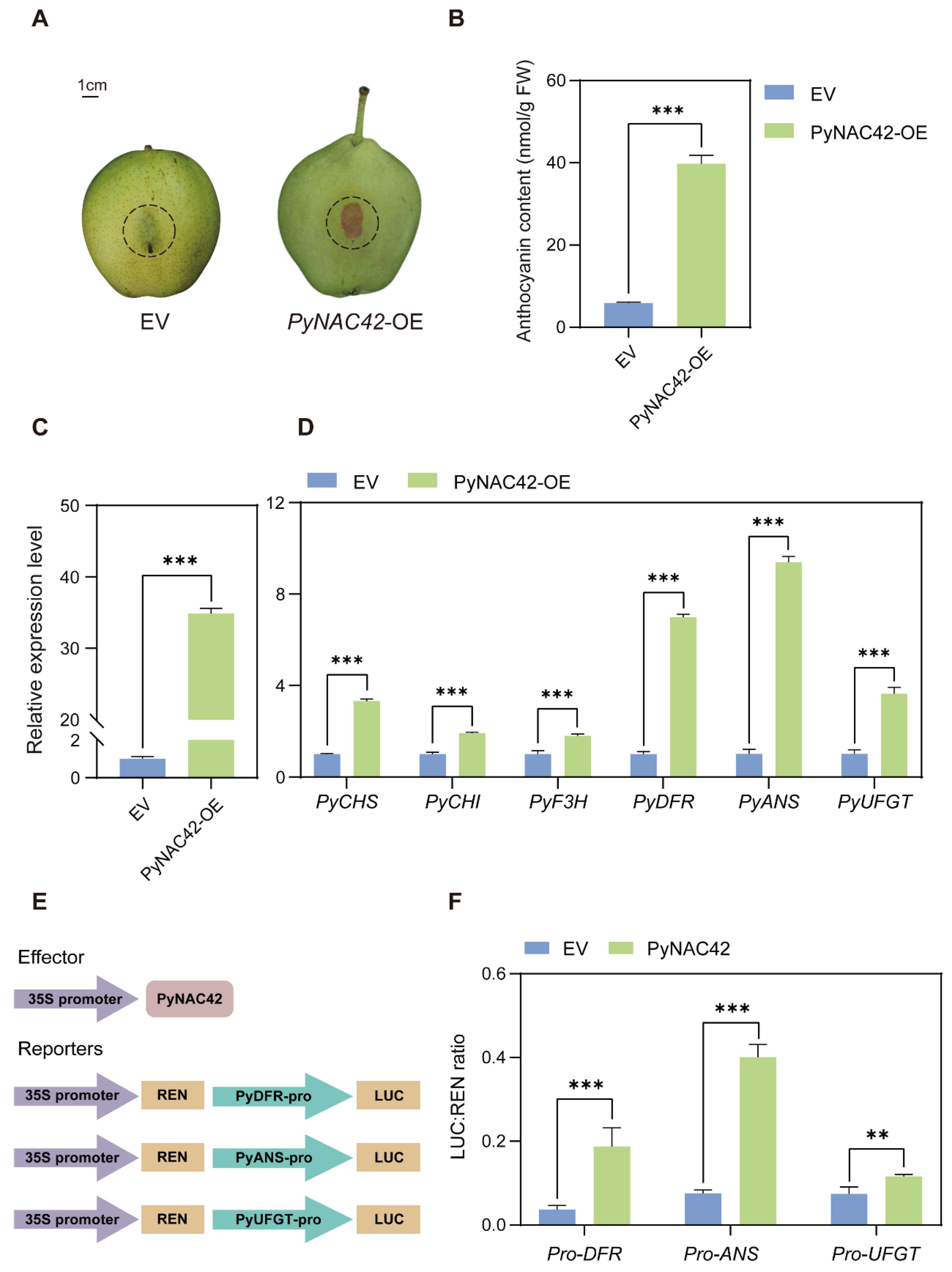 Horticulturae 10 00980 g006