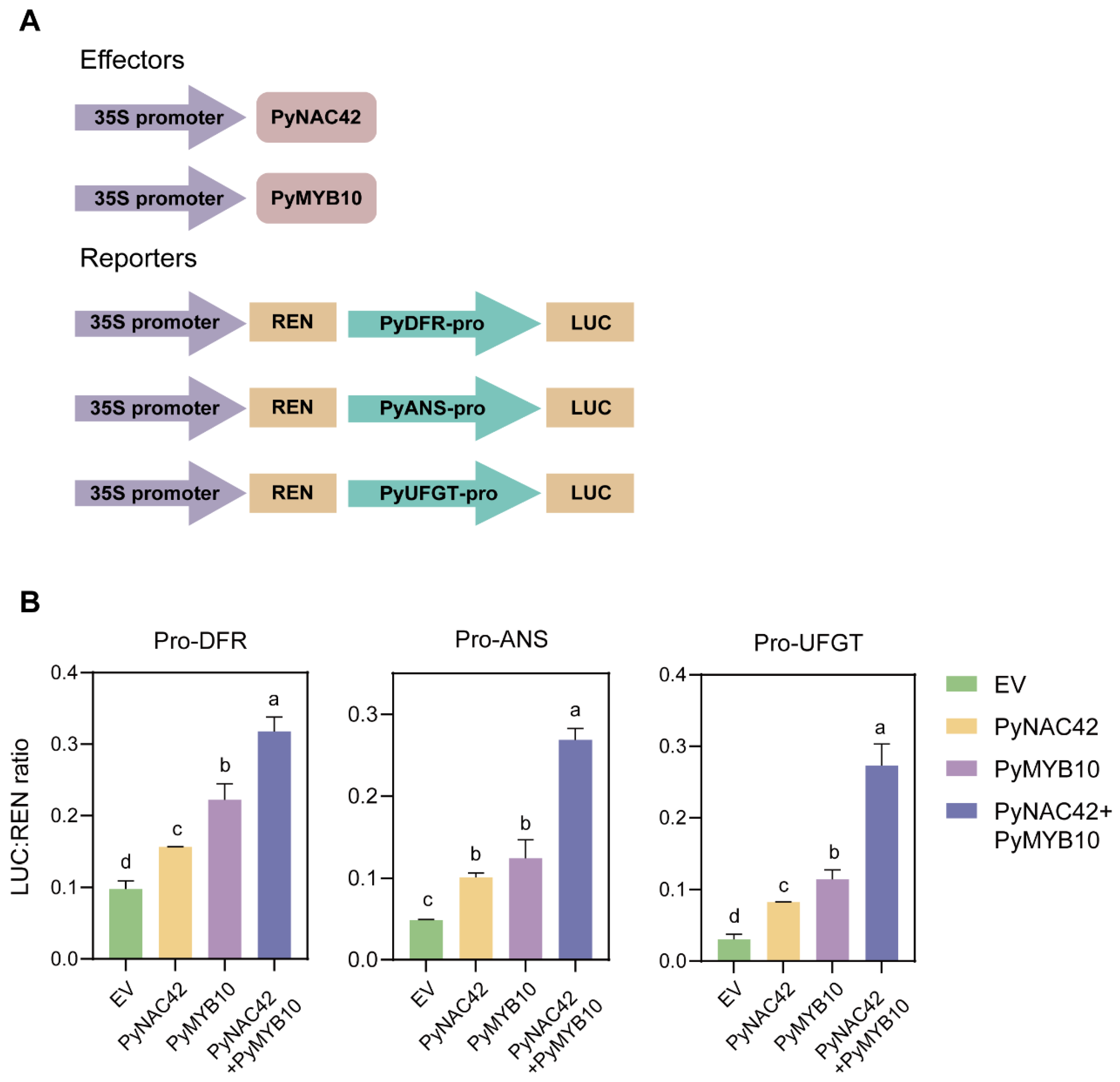 Horticulturae 10 00980 g008