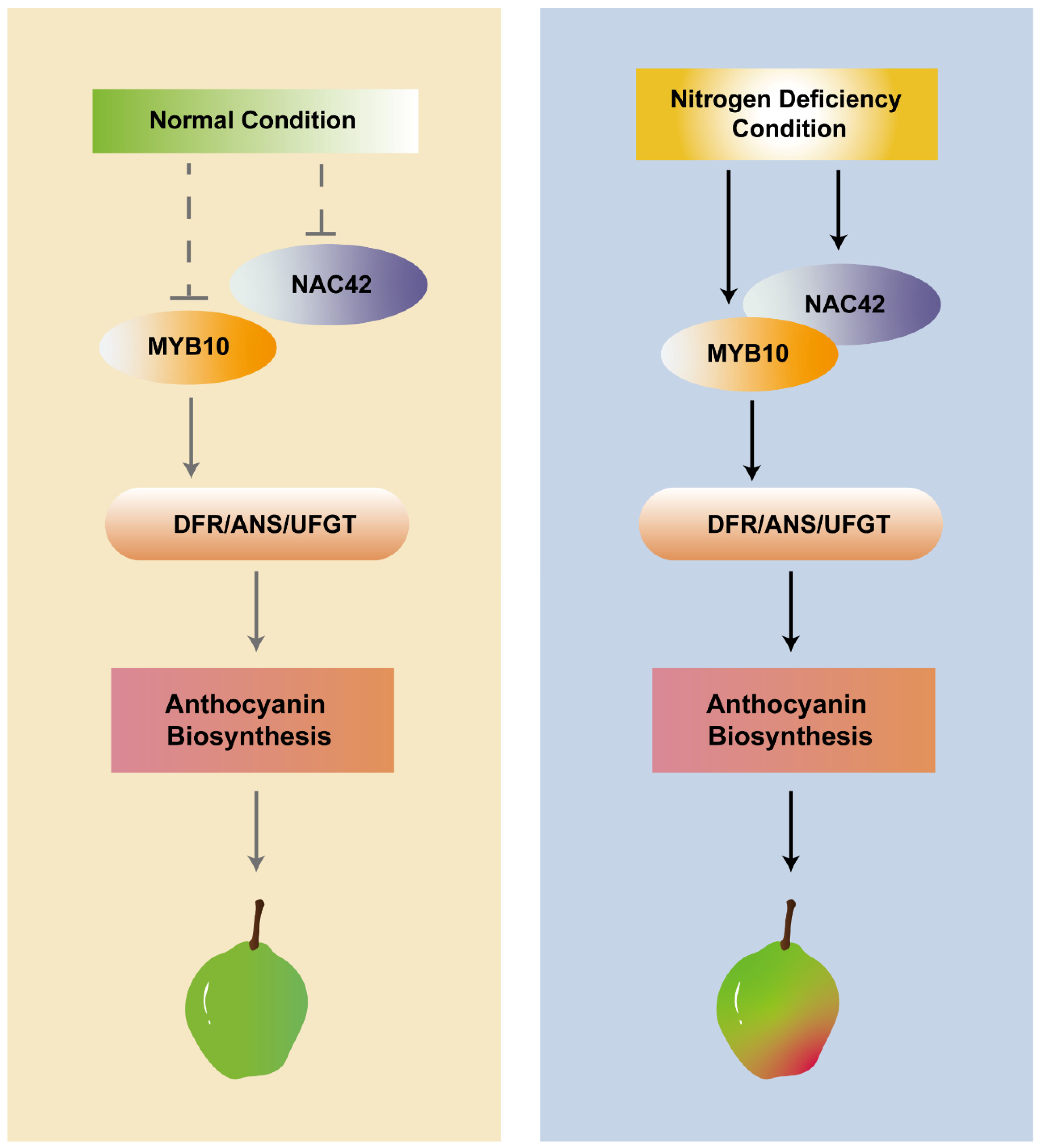 Horticulturae 10 00980 g009
