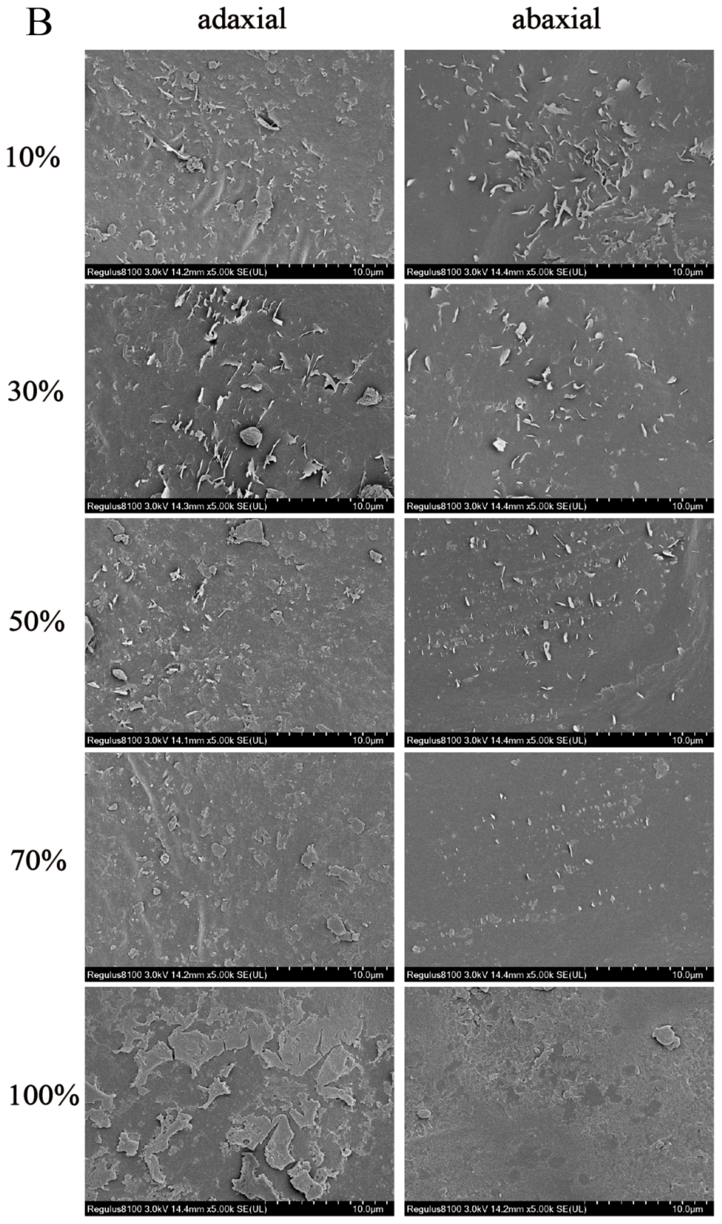 Horticulturae 10 00981 g001b Horticulturae 10 00981 g001b