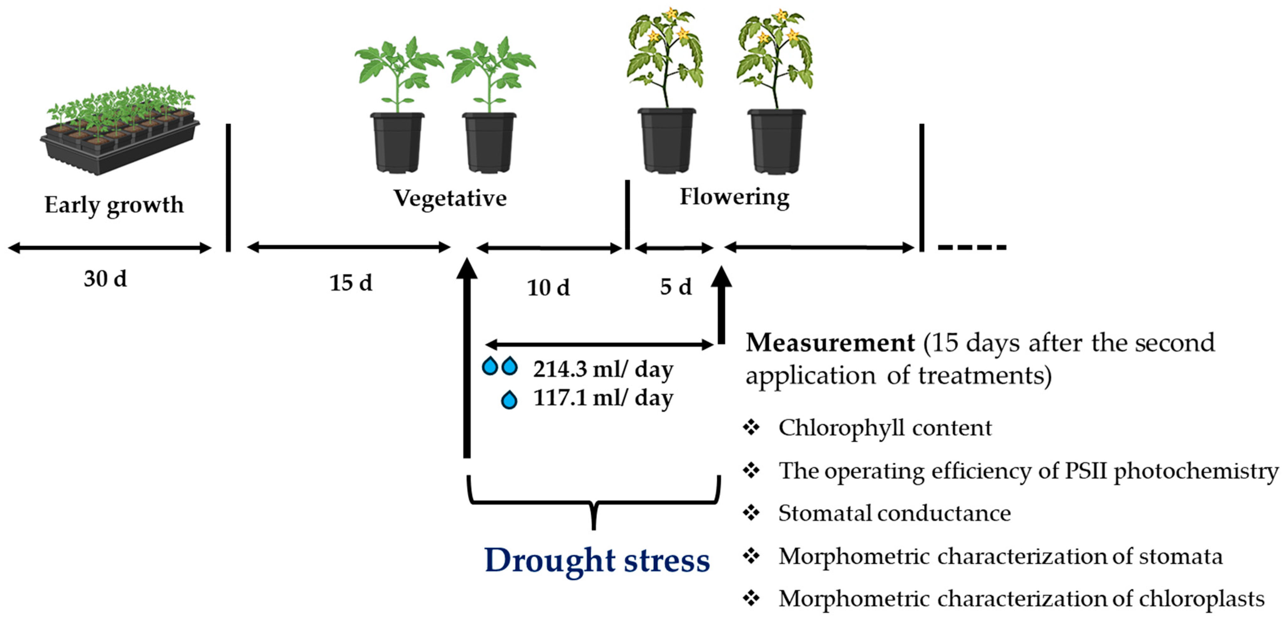 Horticulturae 10 00985 g002