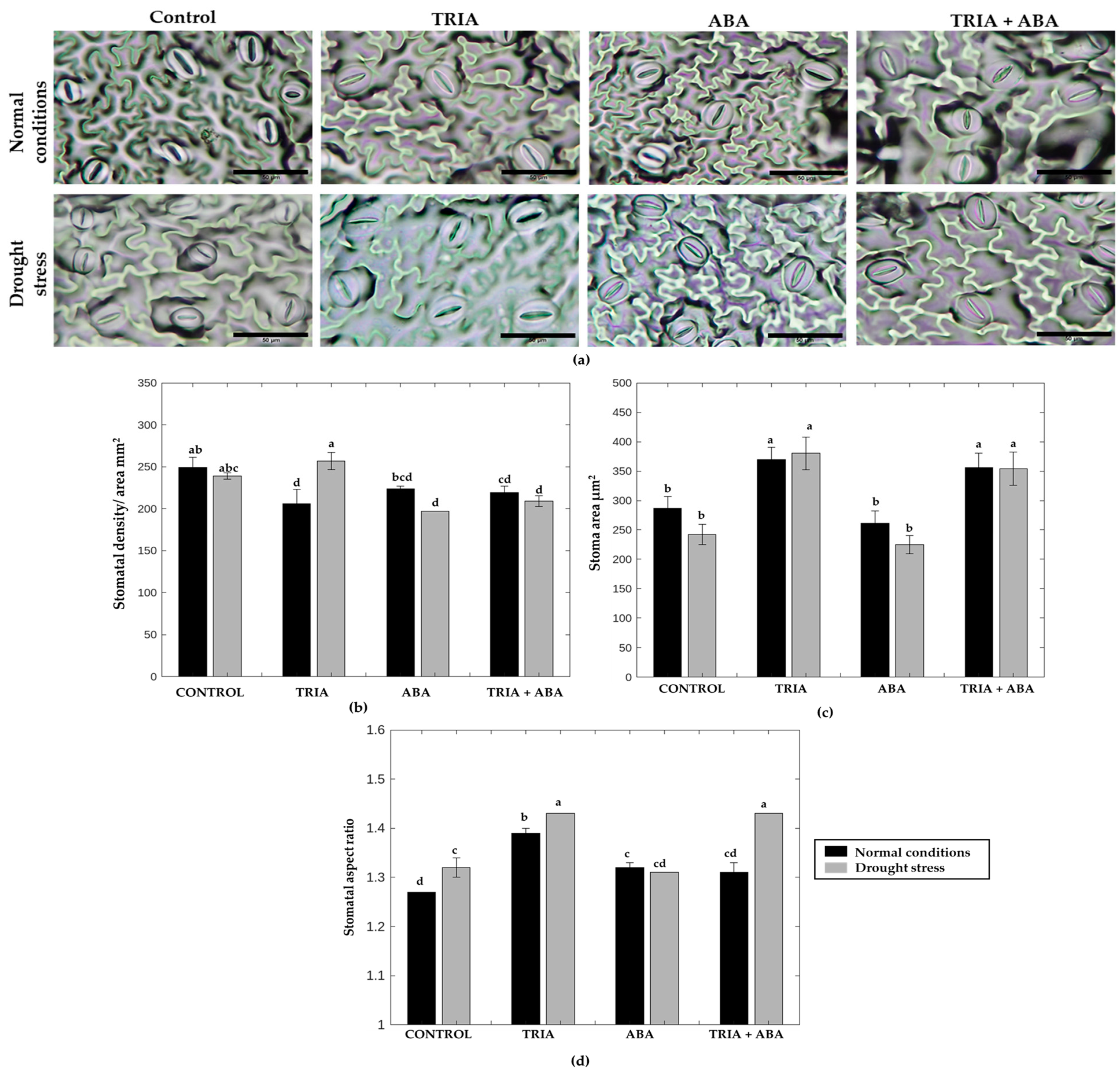 Horticulturae 10 00985 g006