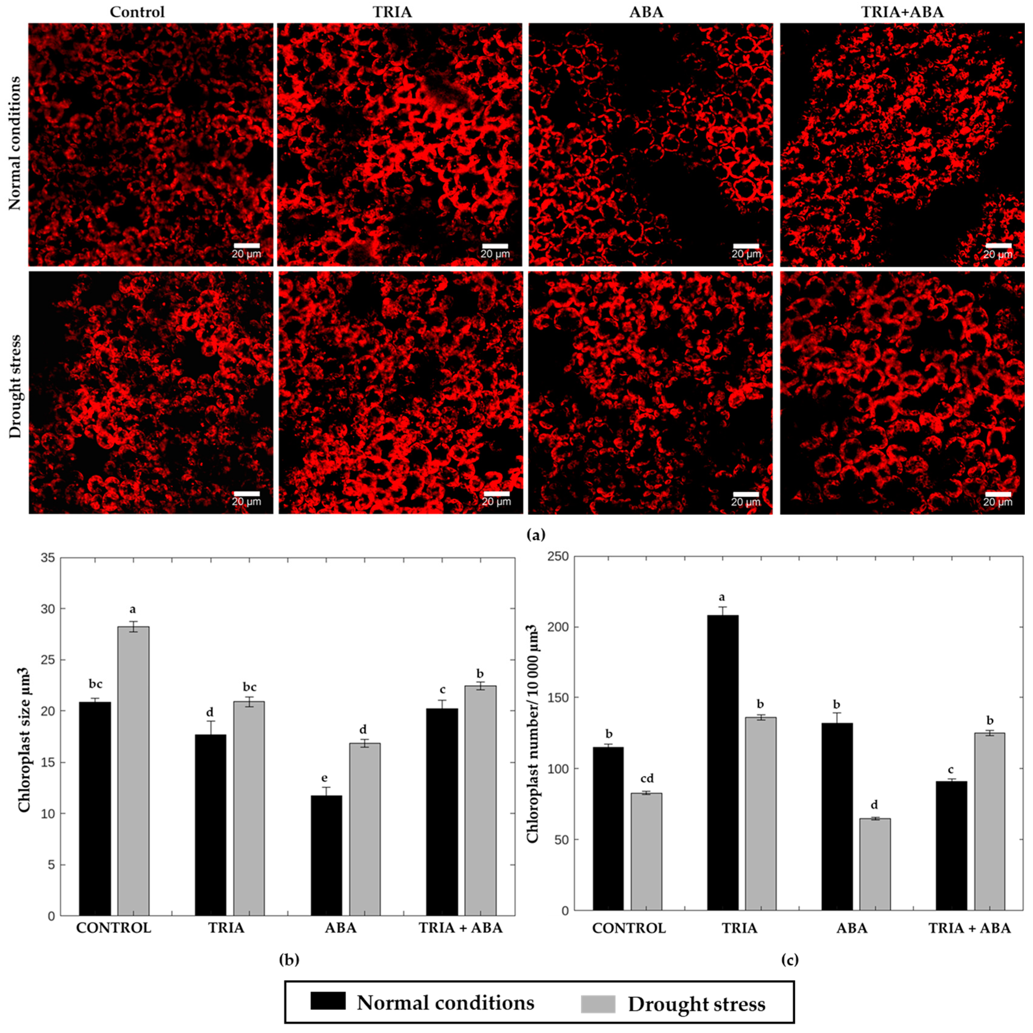 Horticulturae 10 00985 g007