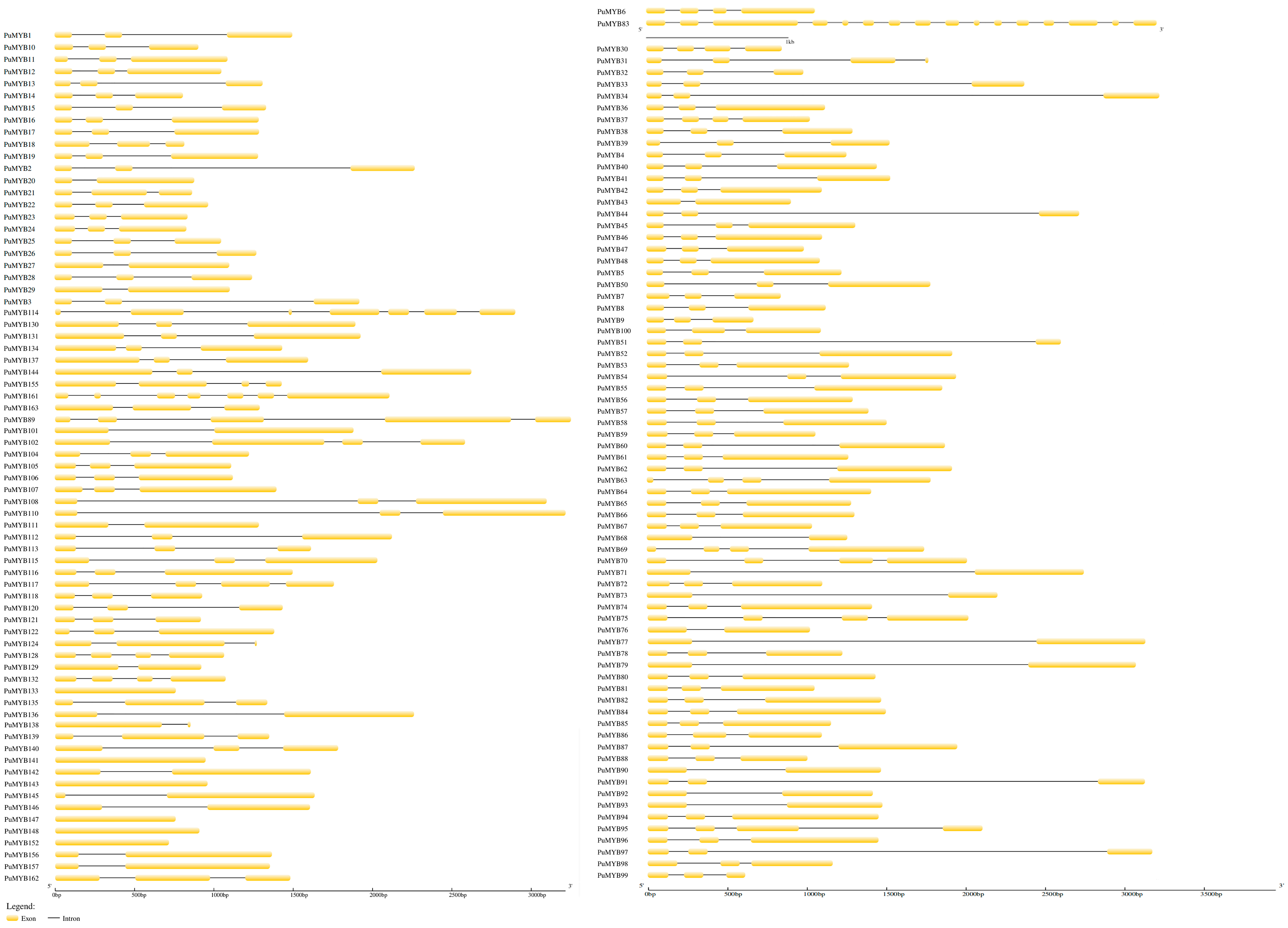 Horticulturae 10 00989 g003