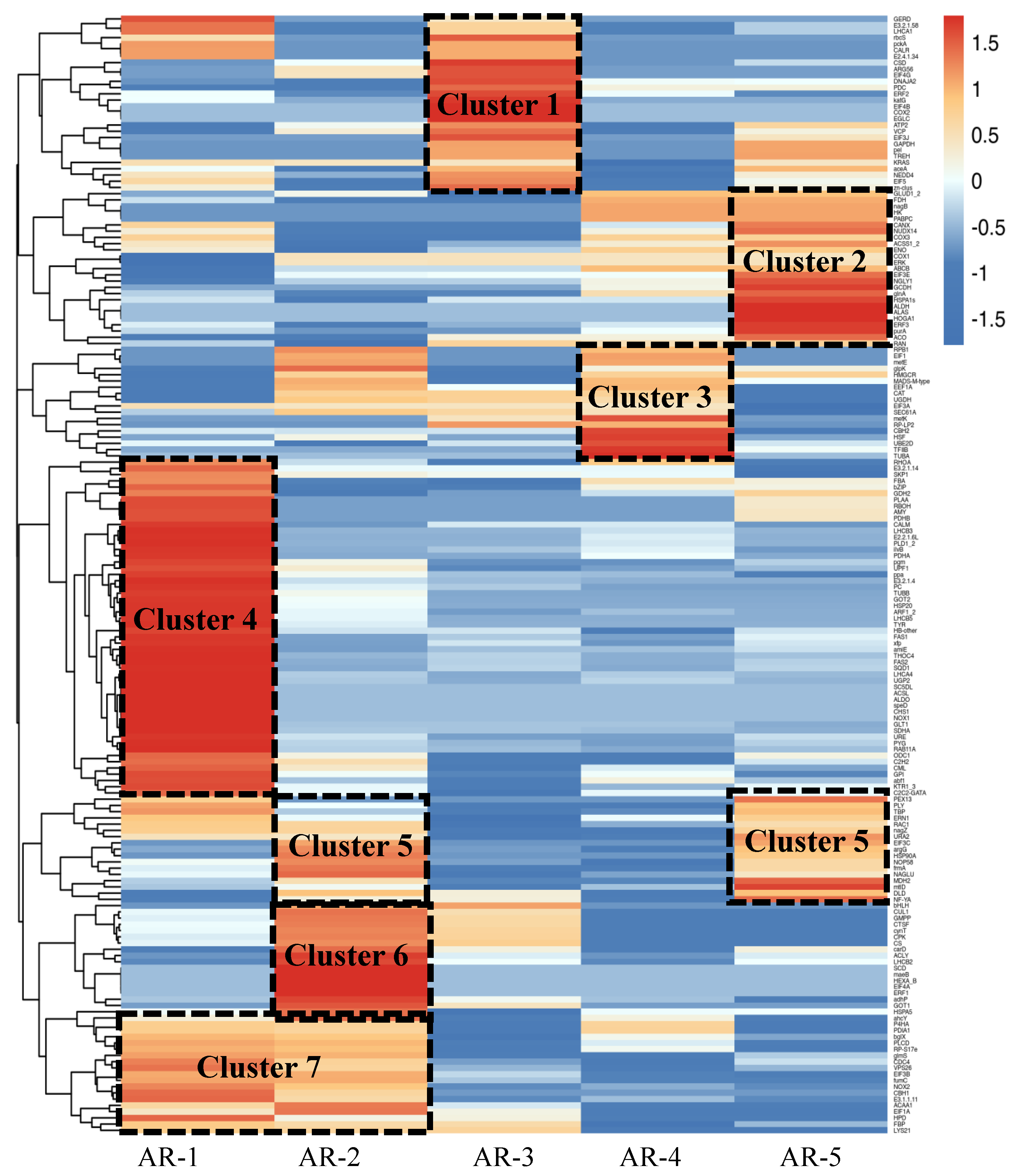 Horticulturae 10 00991 g004