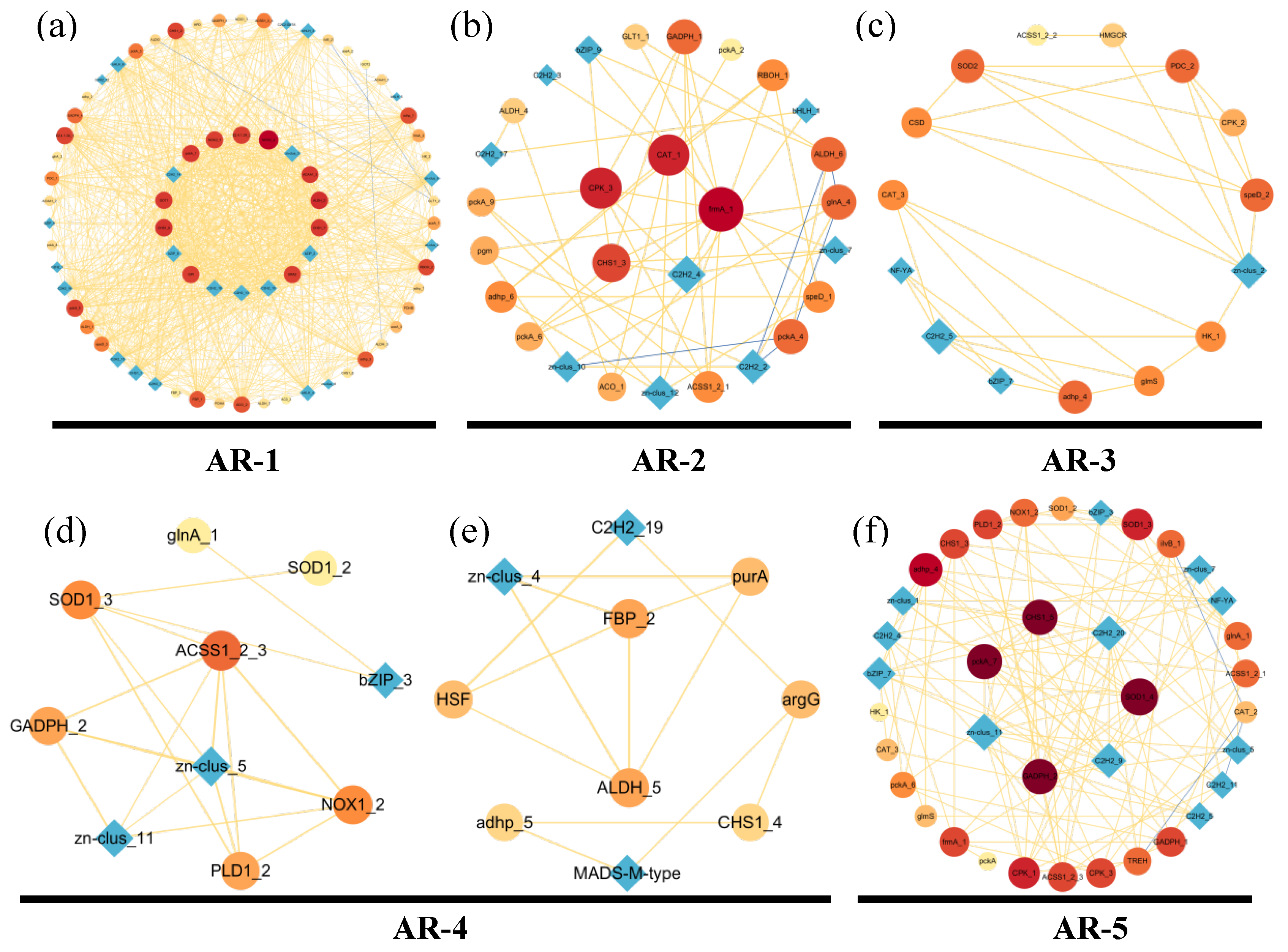 Horticulturae 10 00991 g005
