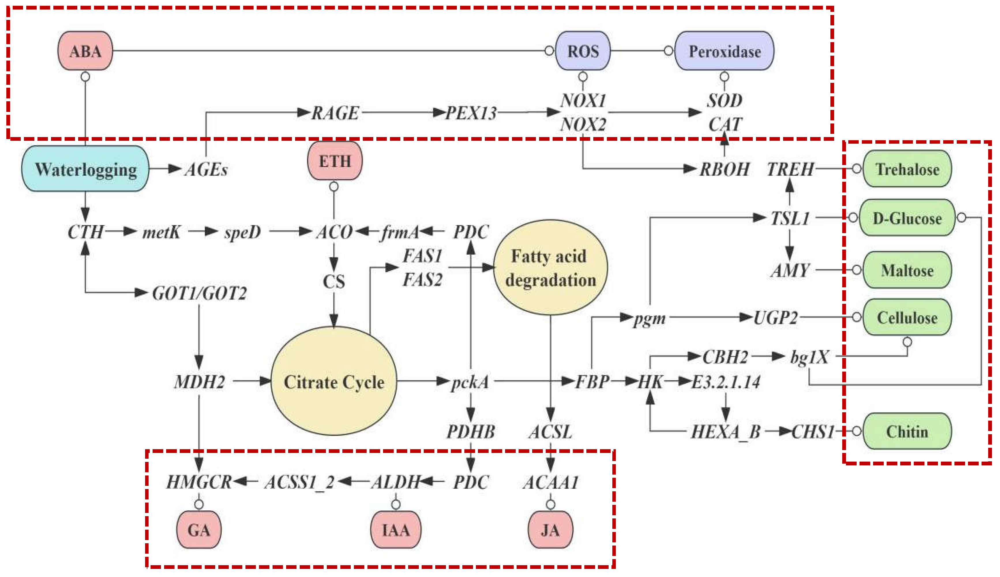 Horticulturae 10 00991 g006