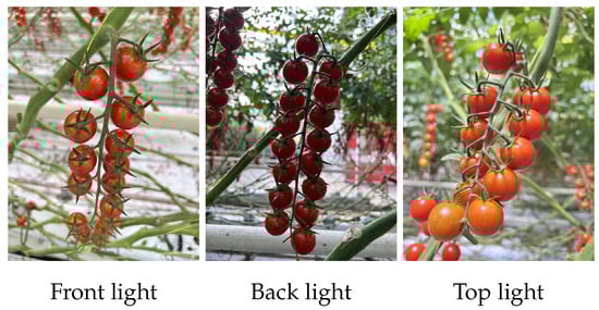 Horticulturae 10 01006 g0a2