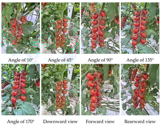 Horticulturae 10 01006 g0a3