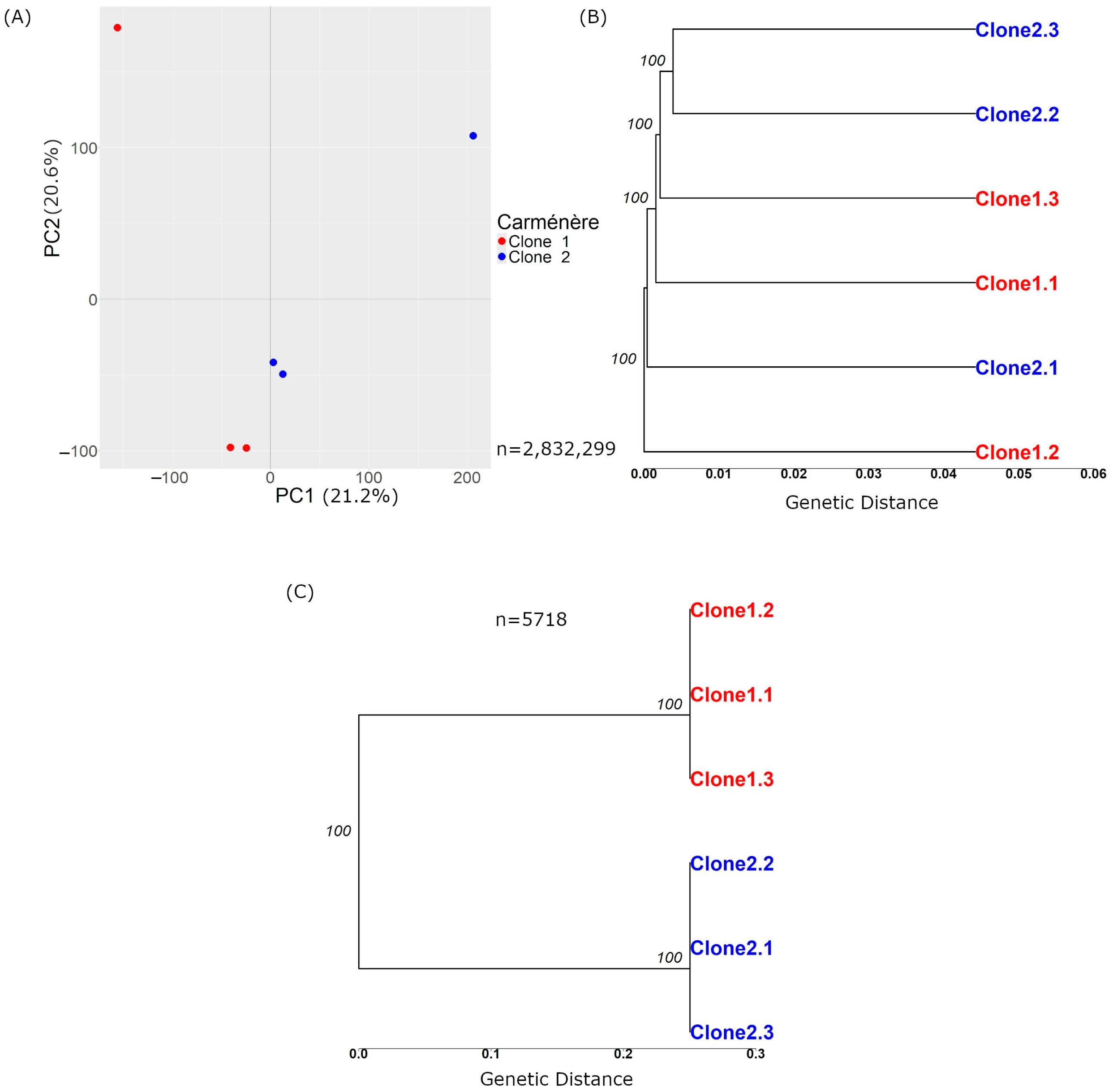 Horticulturae 10 01026 g002