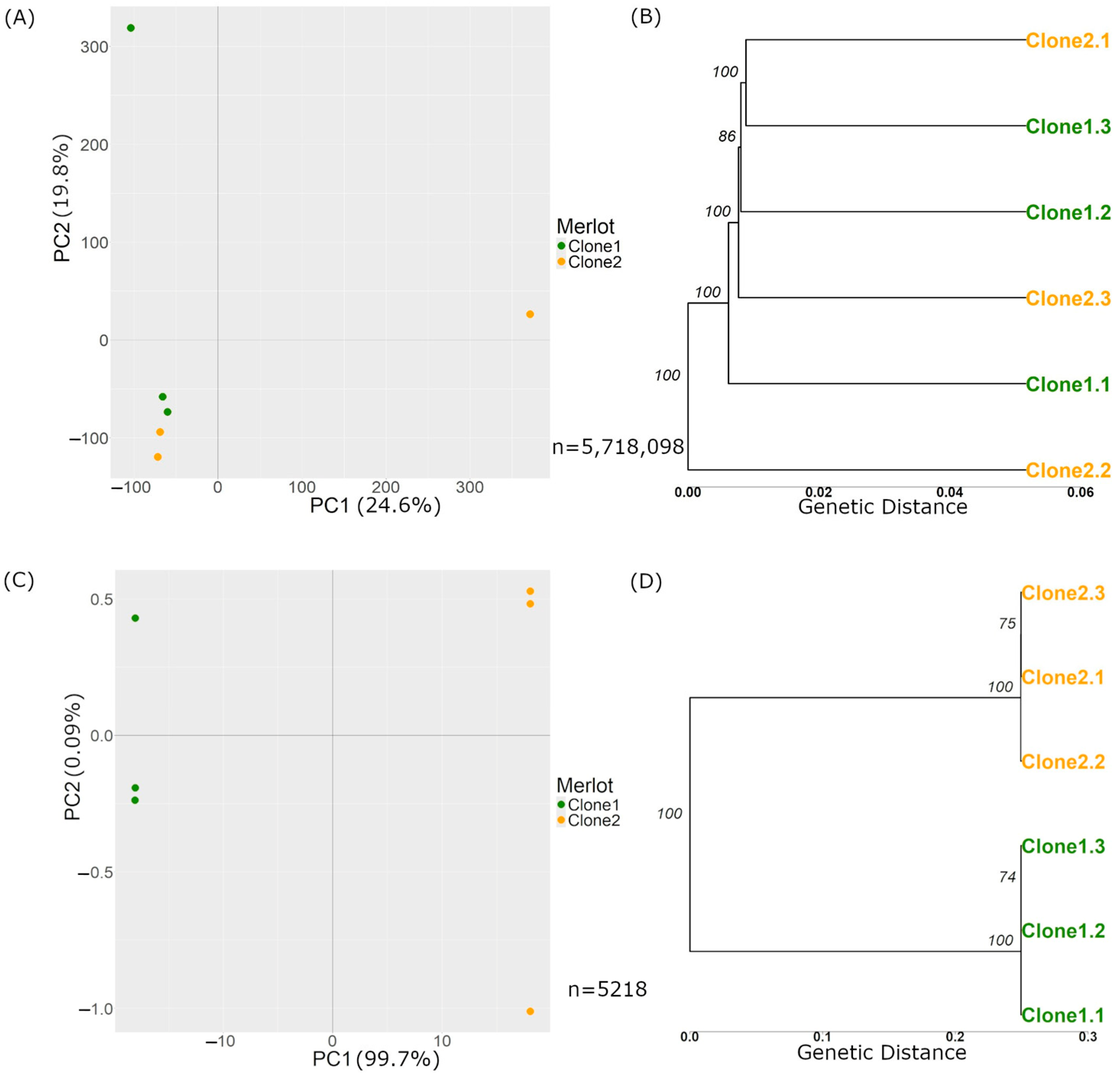 Horticulturae 10 01026 g003