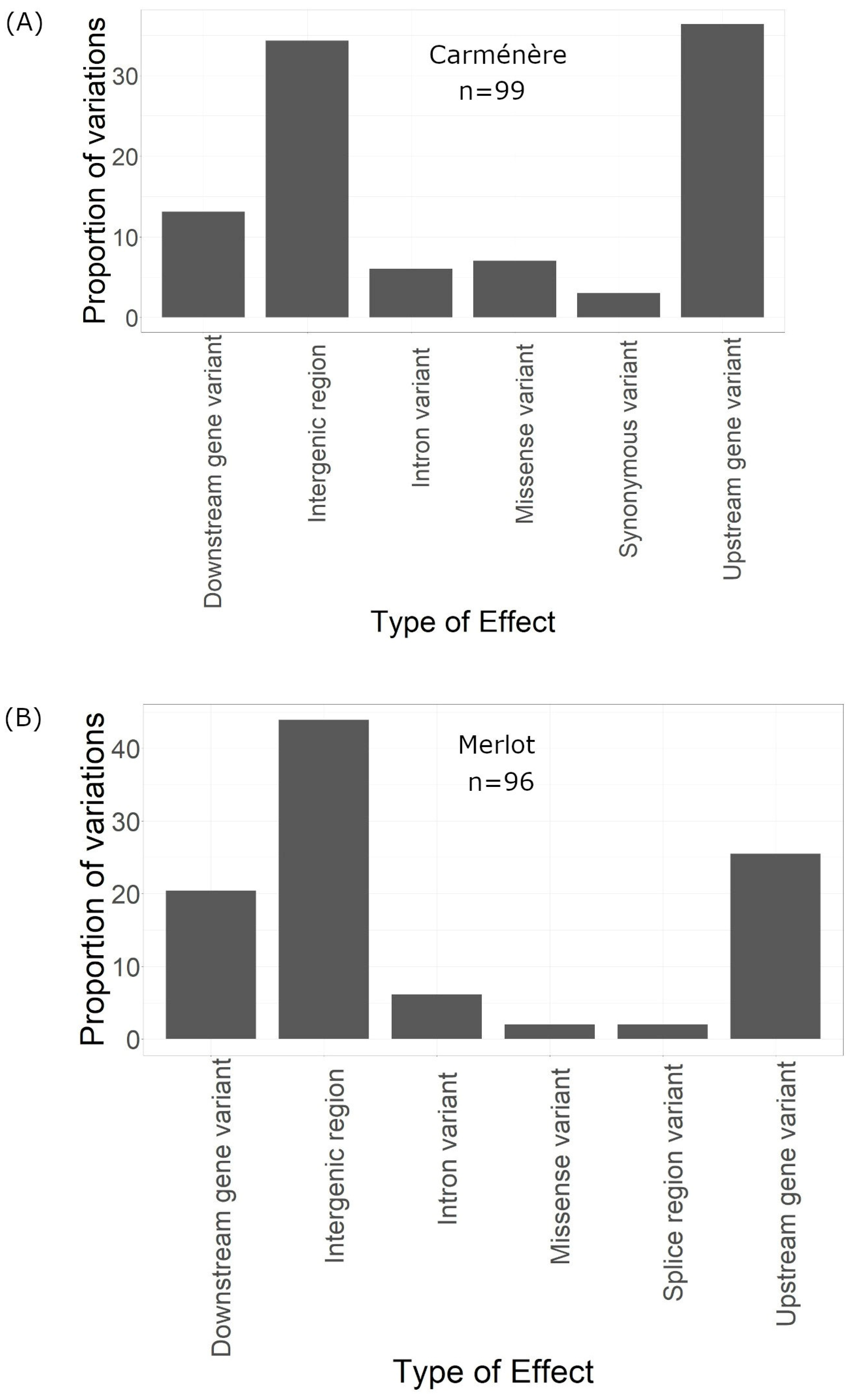 Horticulturae 10 01026 g005