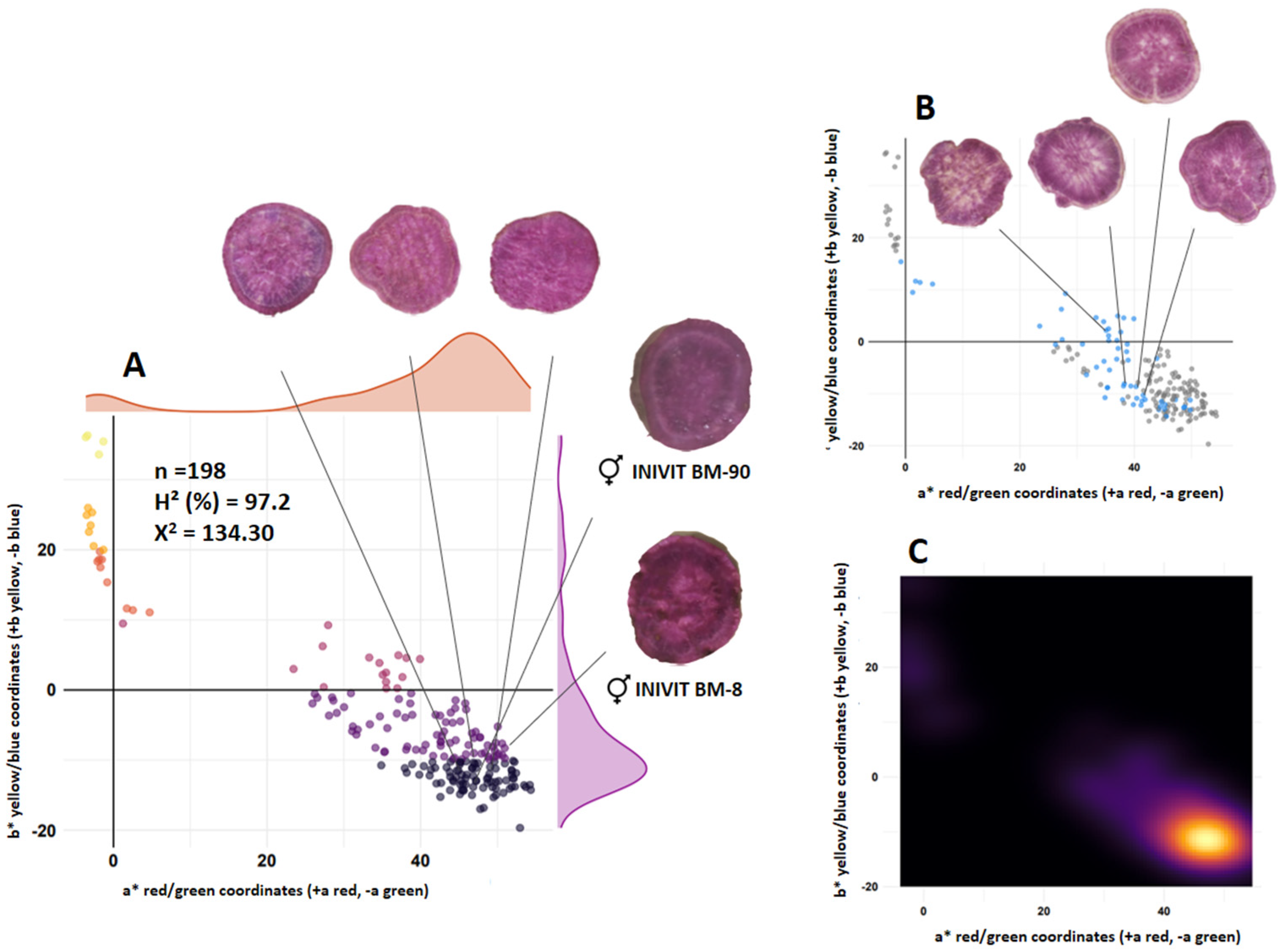 Horticulturae 10 01032 g002