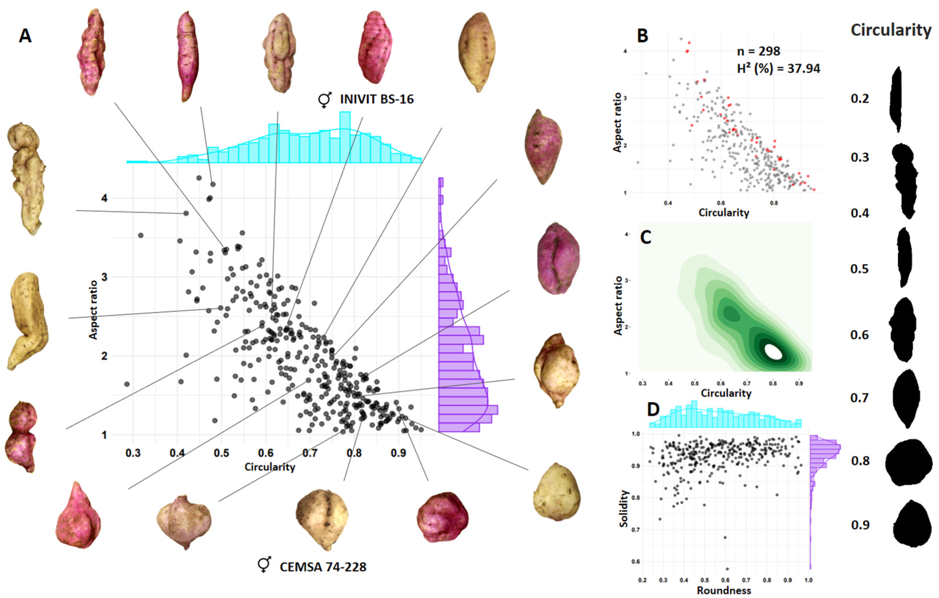 Horticulturae 10 01032 g006