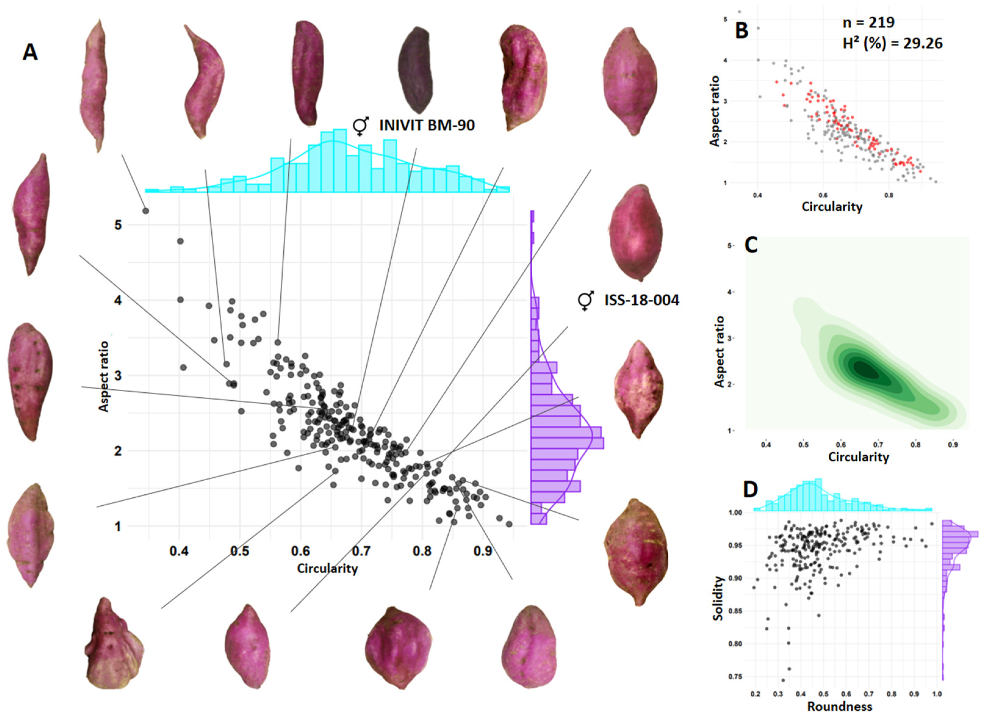Horticulturae 10 01032 g007