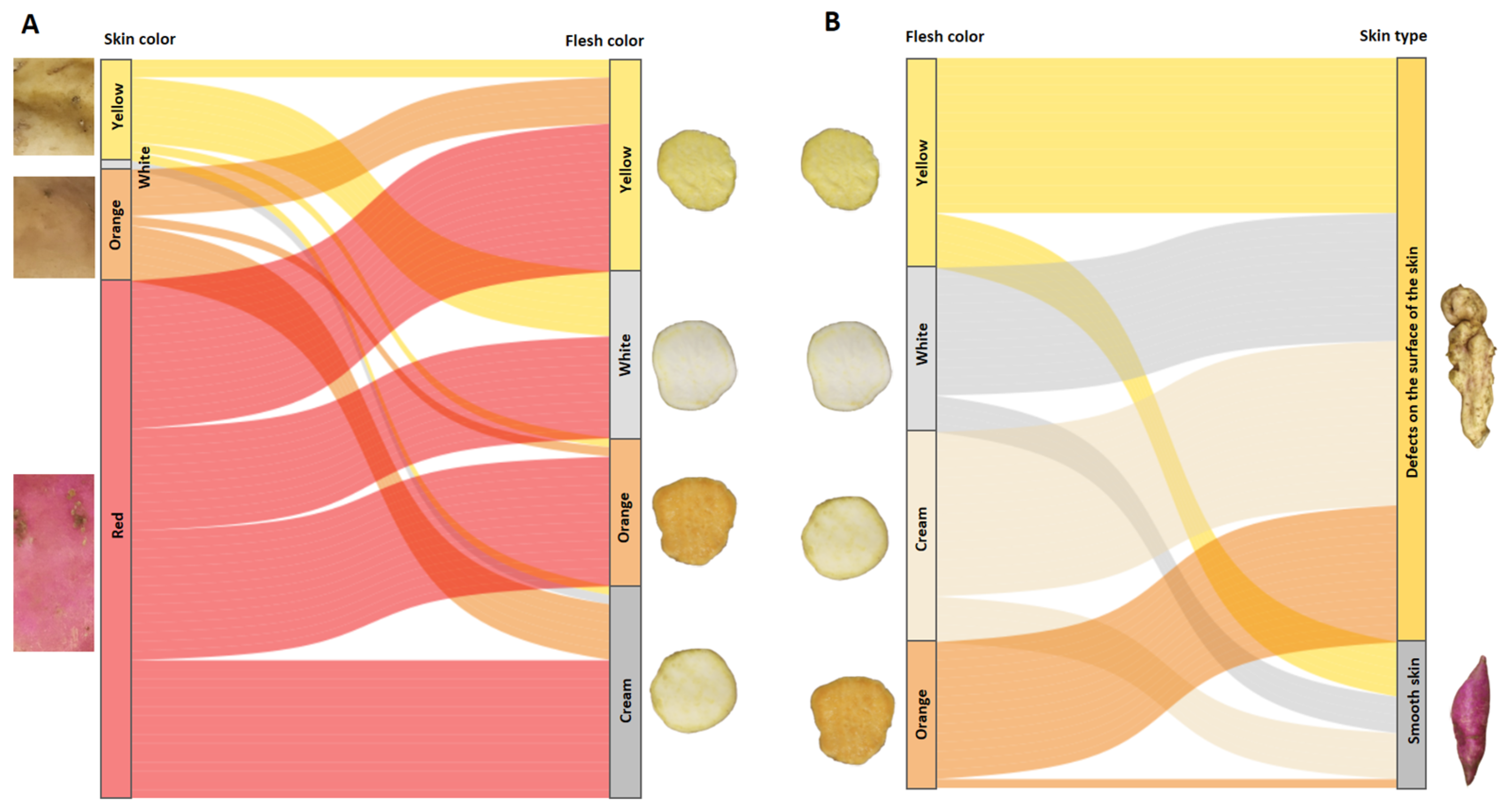 Horticulturae 10 01032 g010