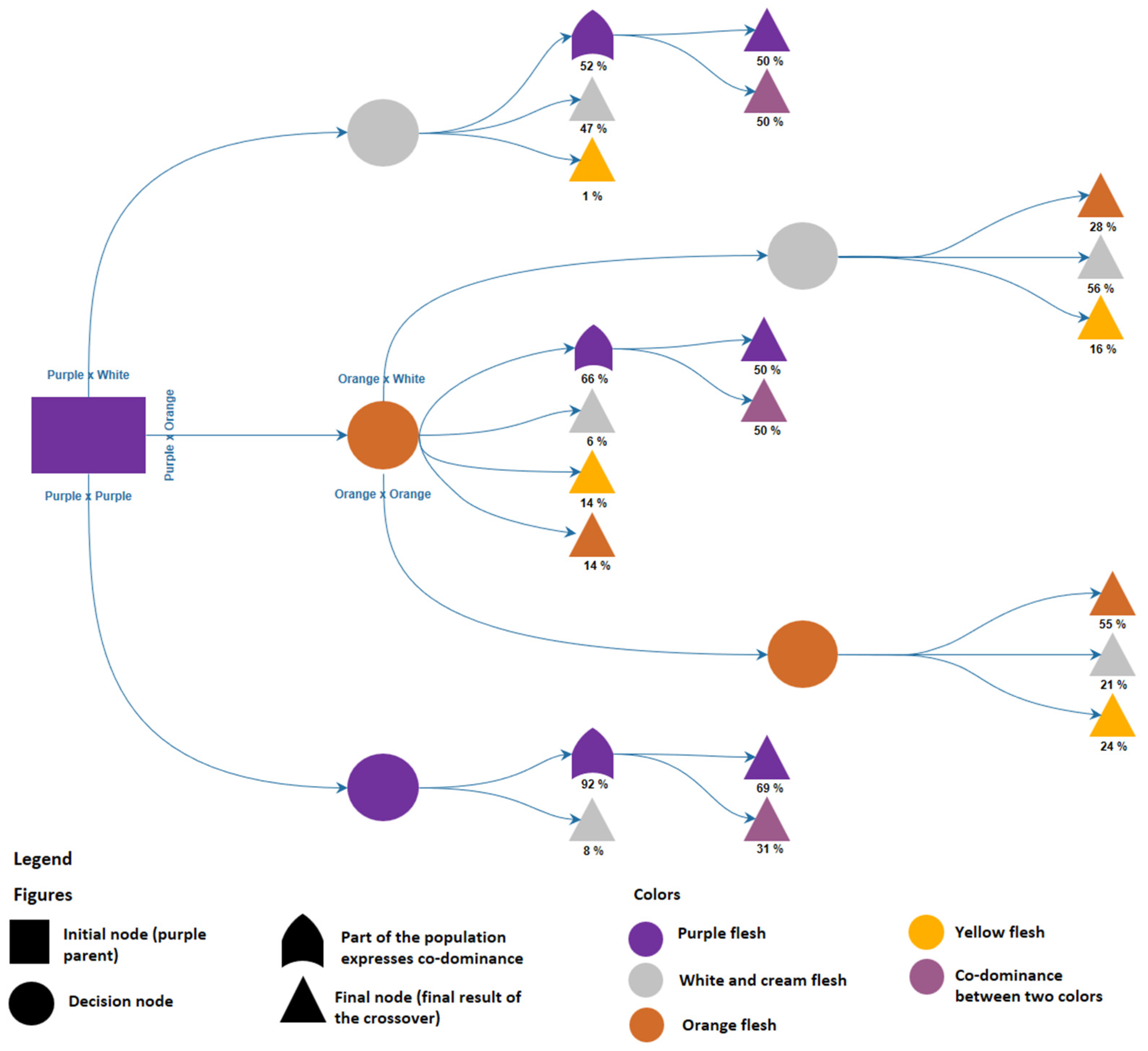 Horticulturae 10 01032 g012