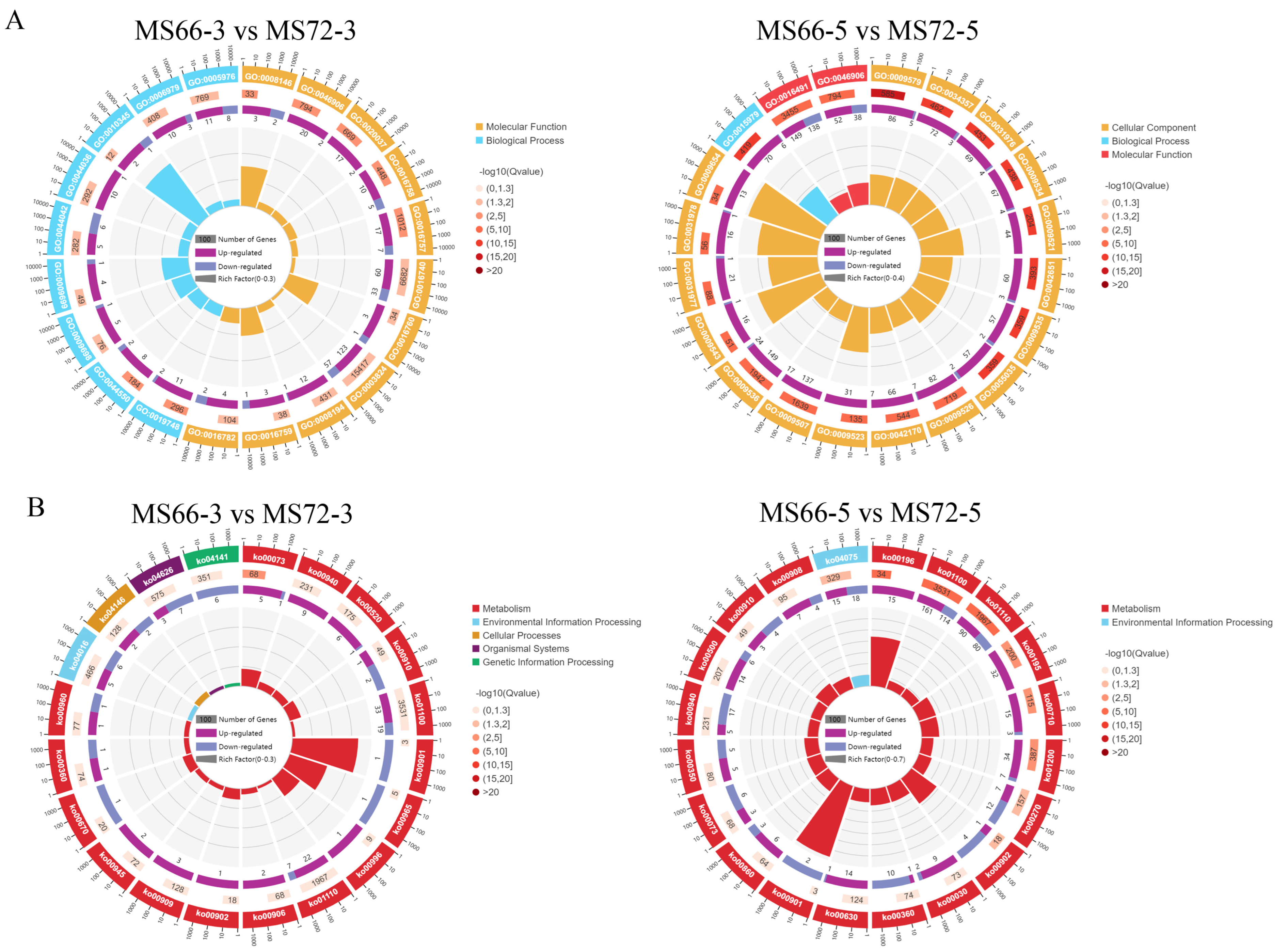 Horticulturae 10 01160 g003