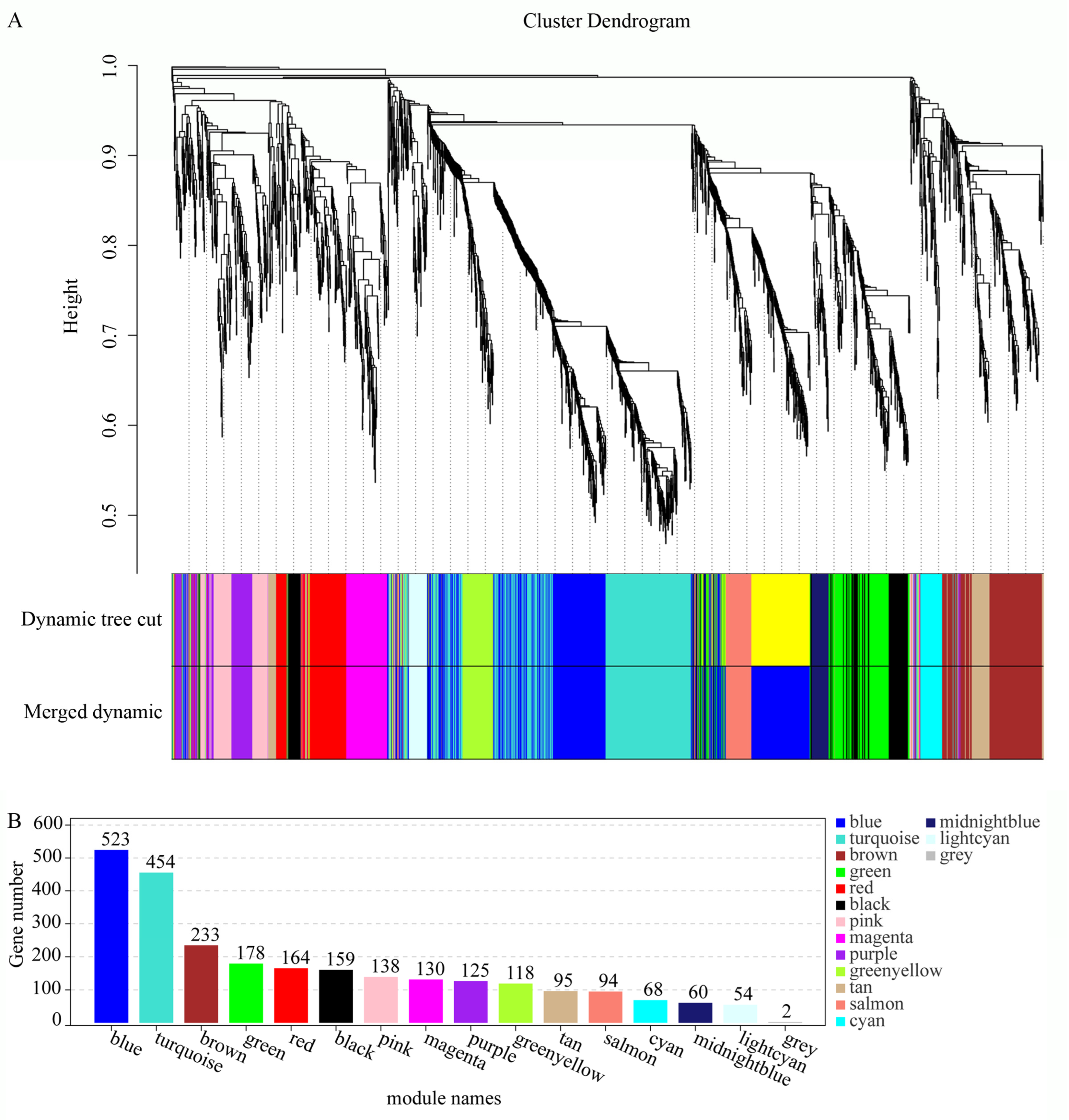 Horticulturae 10 01160 g005