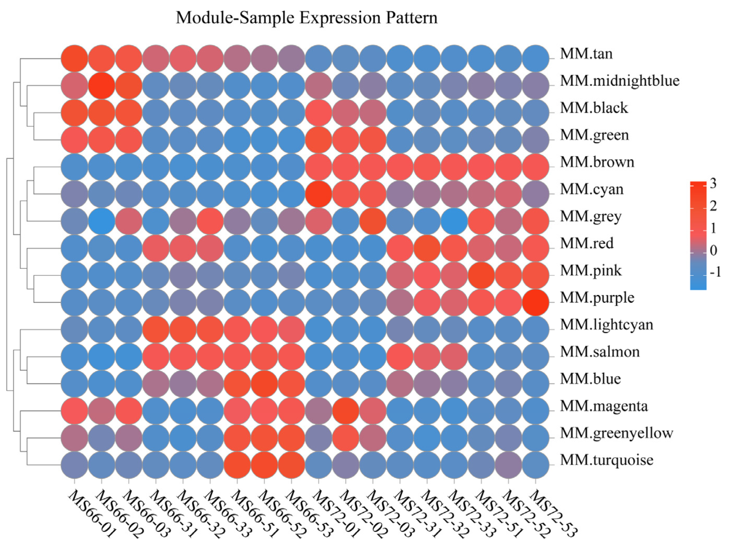 Horticulturae 10 01160 g006
