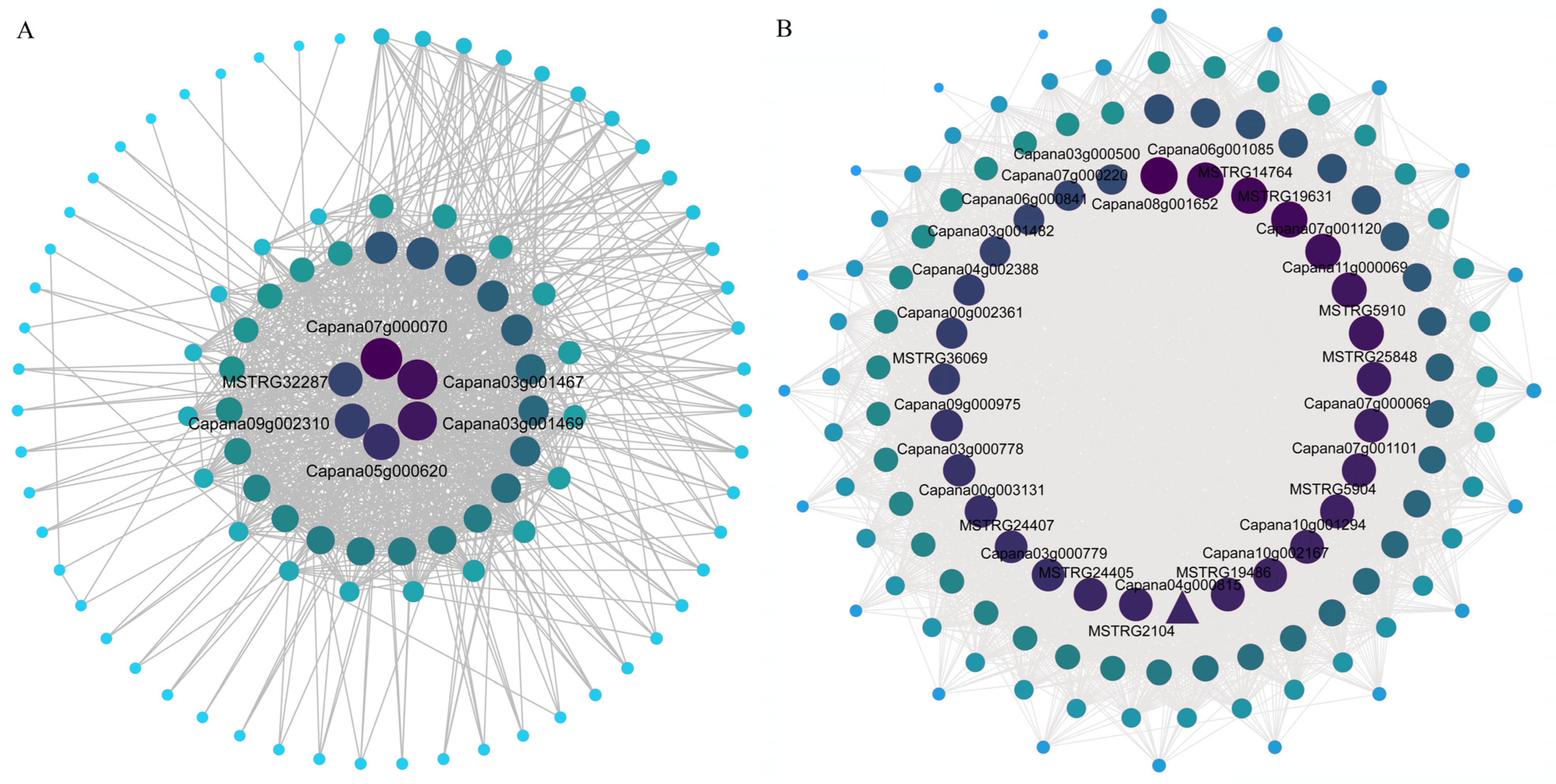 Horticulturae 10 01160 g007