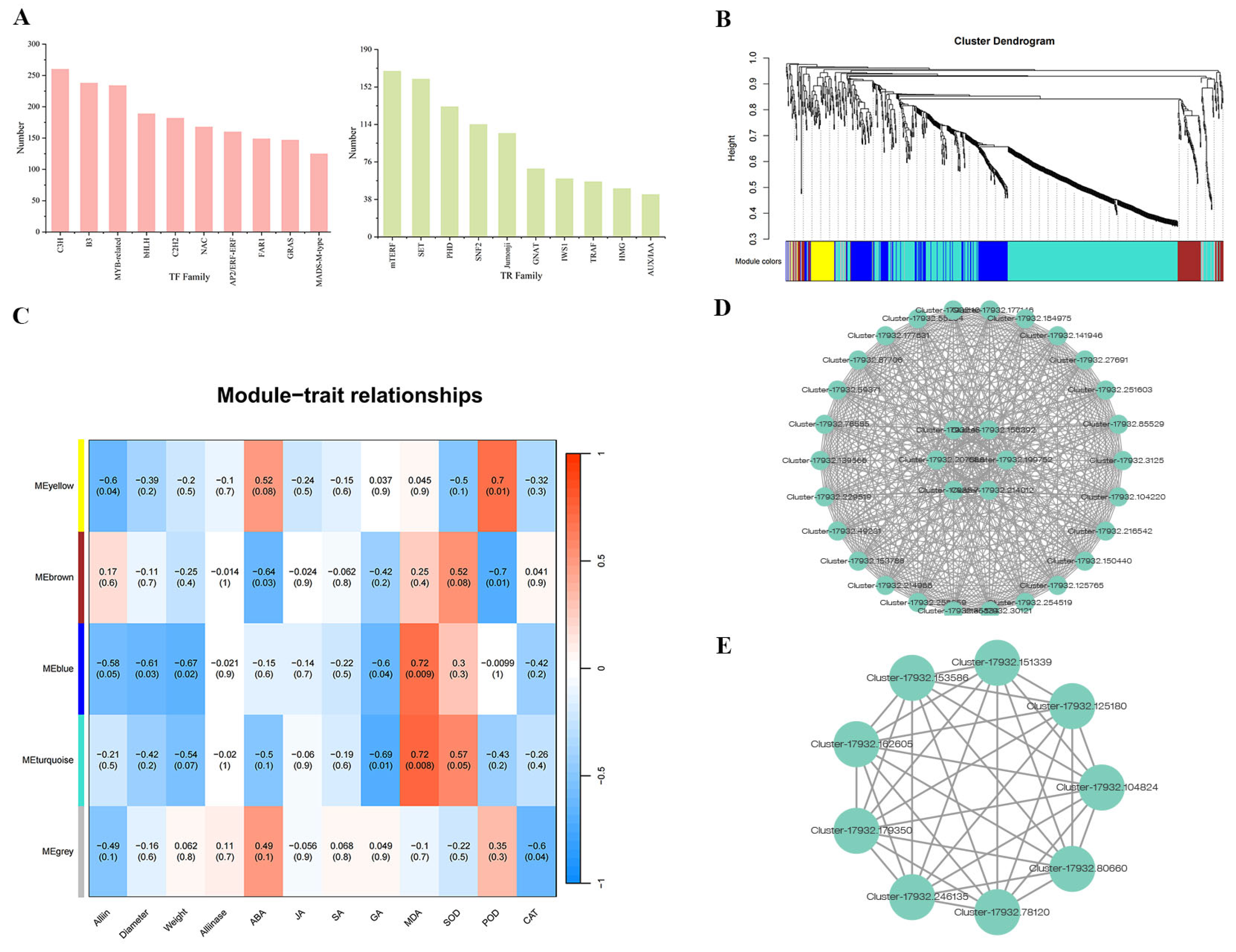 Horticulturae 10 01203 g004