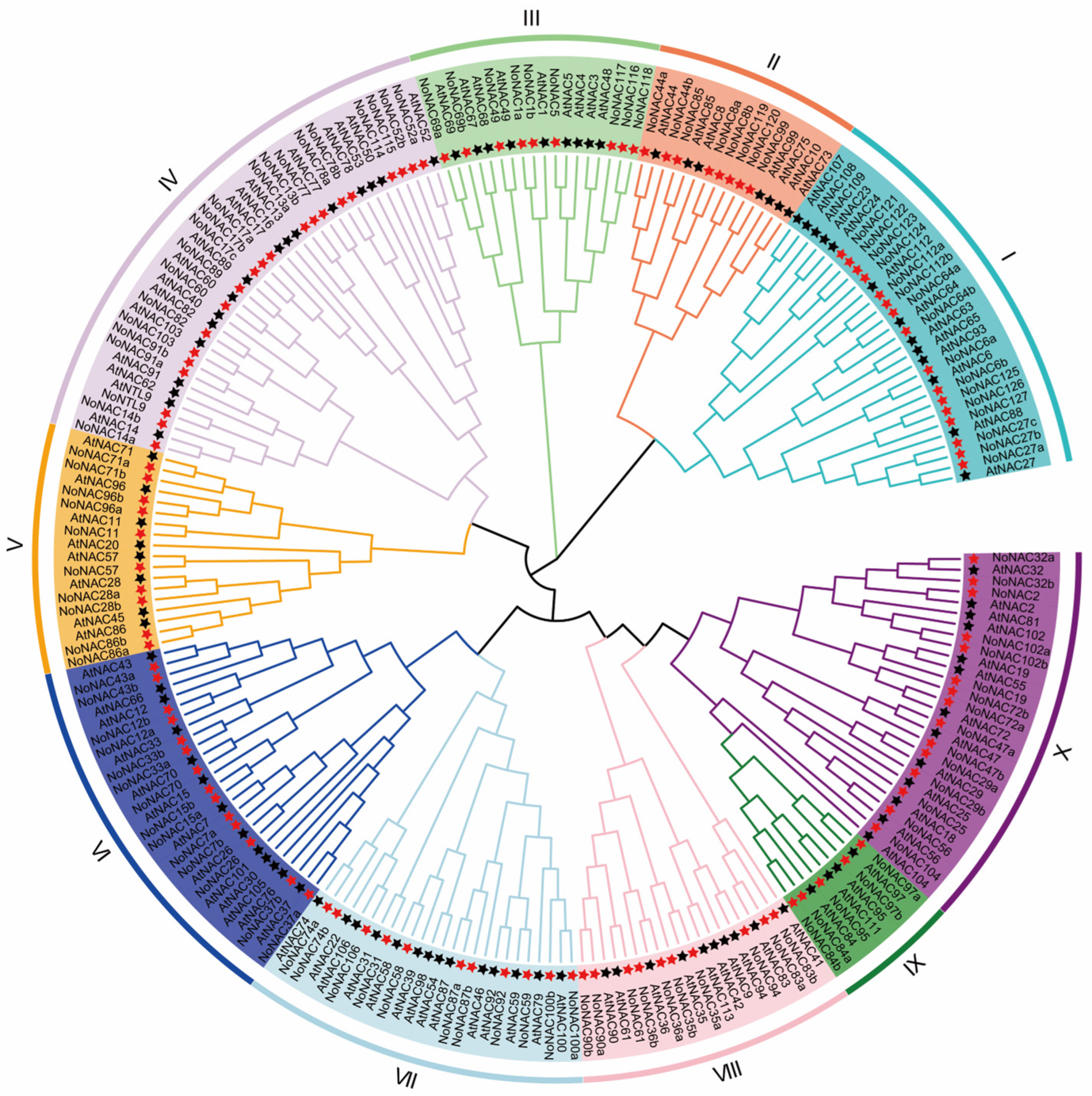 Horticulturae 10 01219 g001