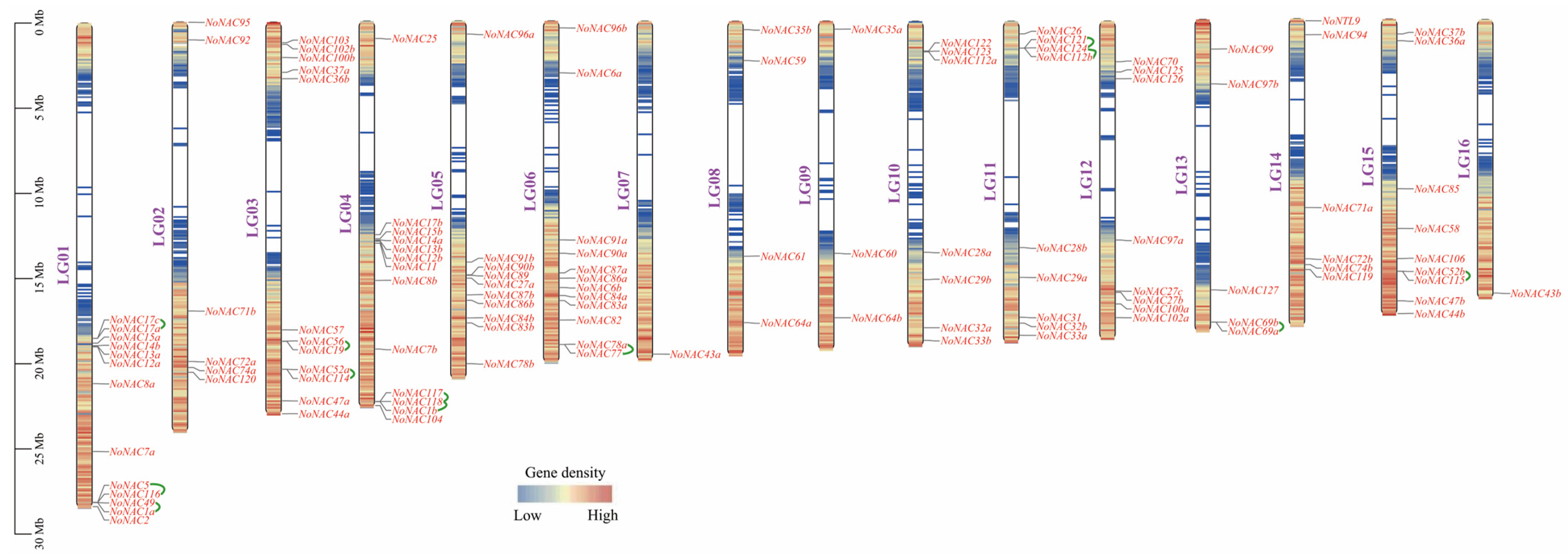 Horticulturae 10 01219 g002