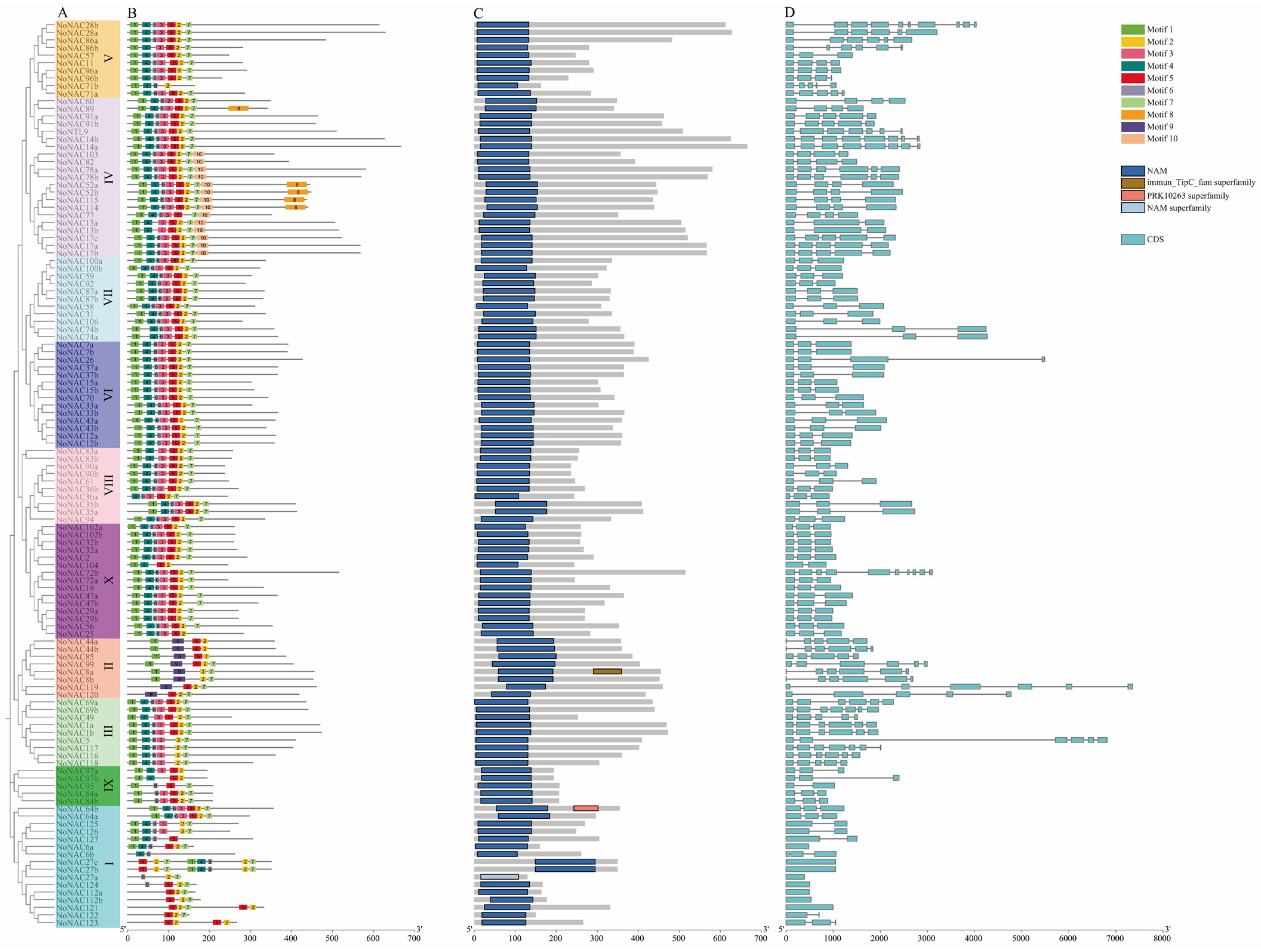 Horticulturae 10 01219 g003