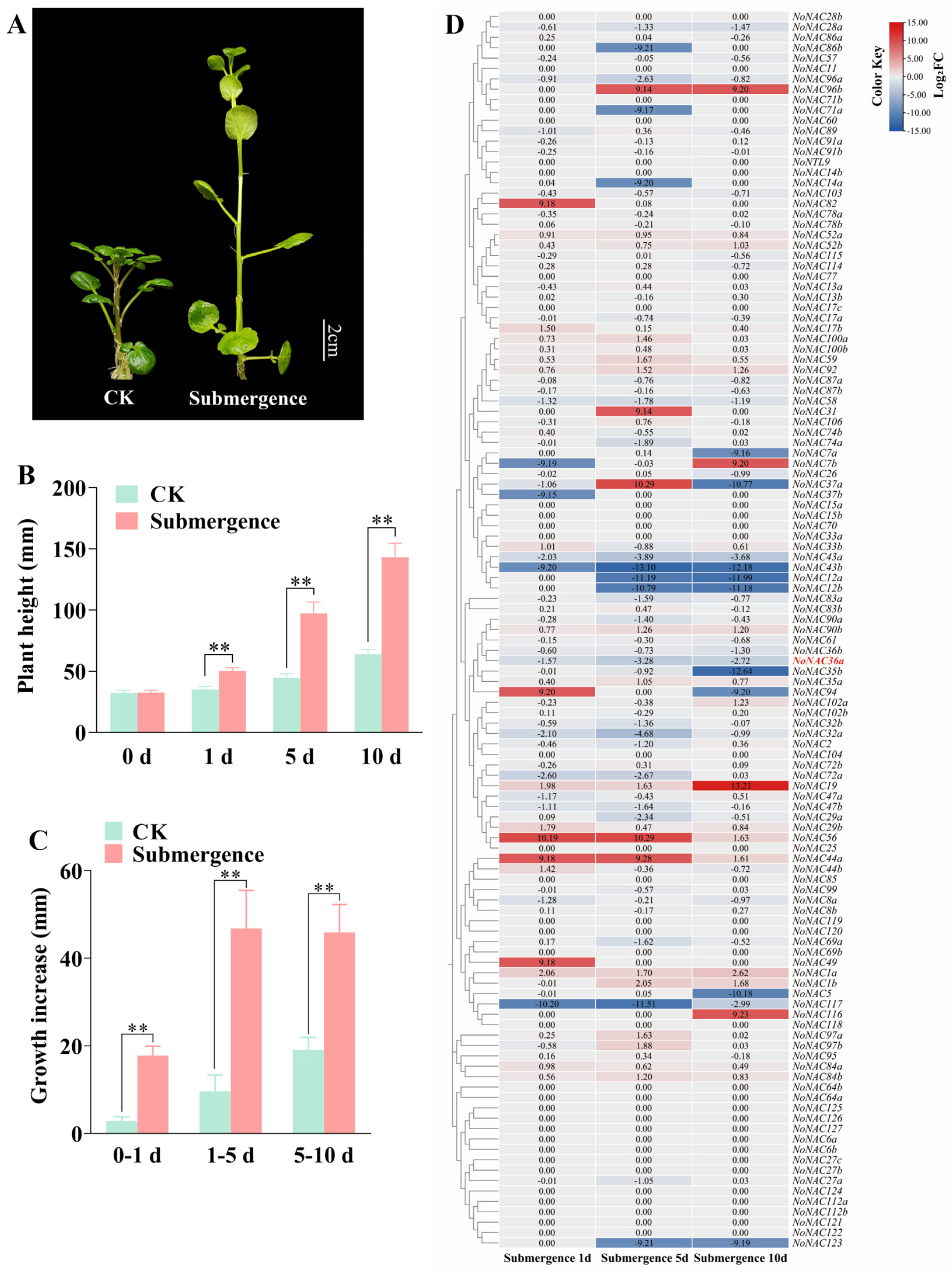 Horticulturae 10 01219 g005