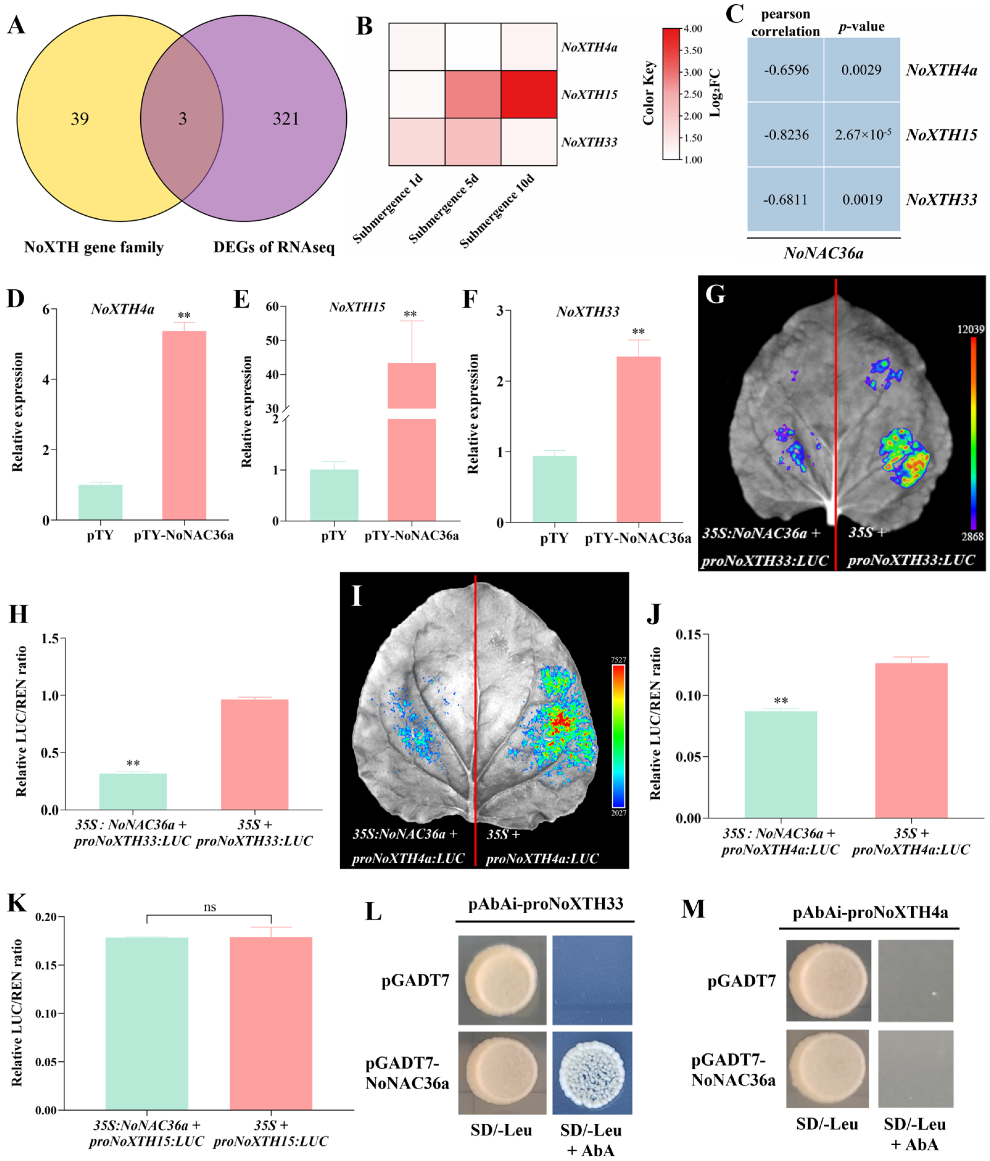 Horticulturae 10 01219 g008