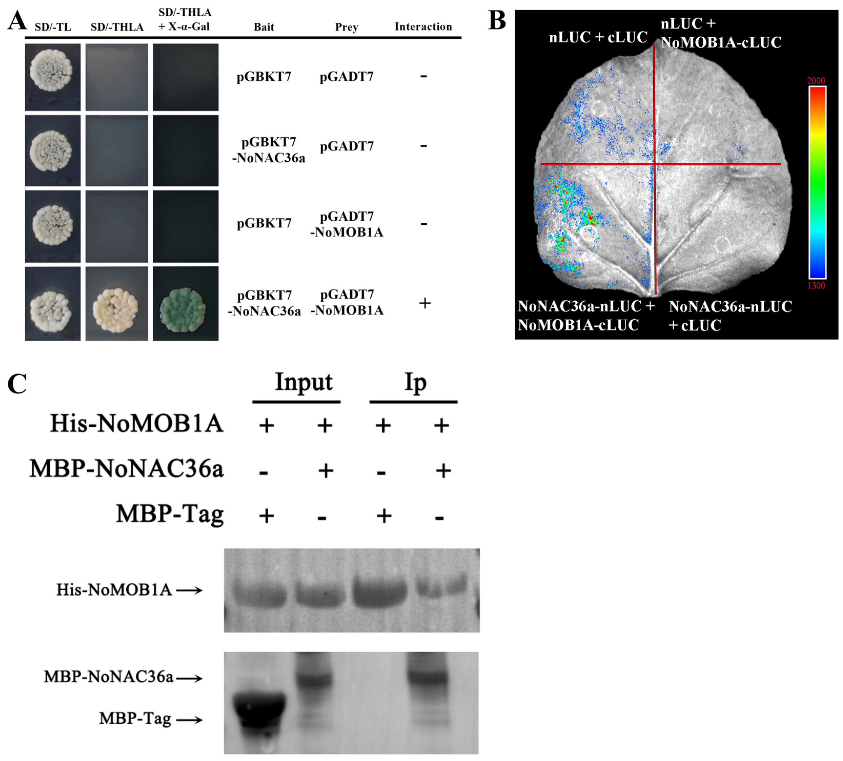 Horticulturae 10 01219 g009