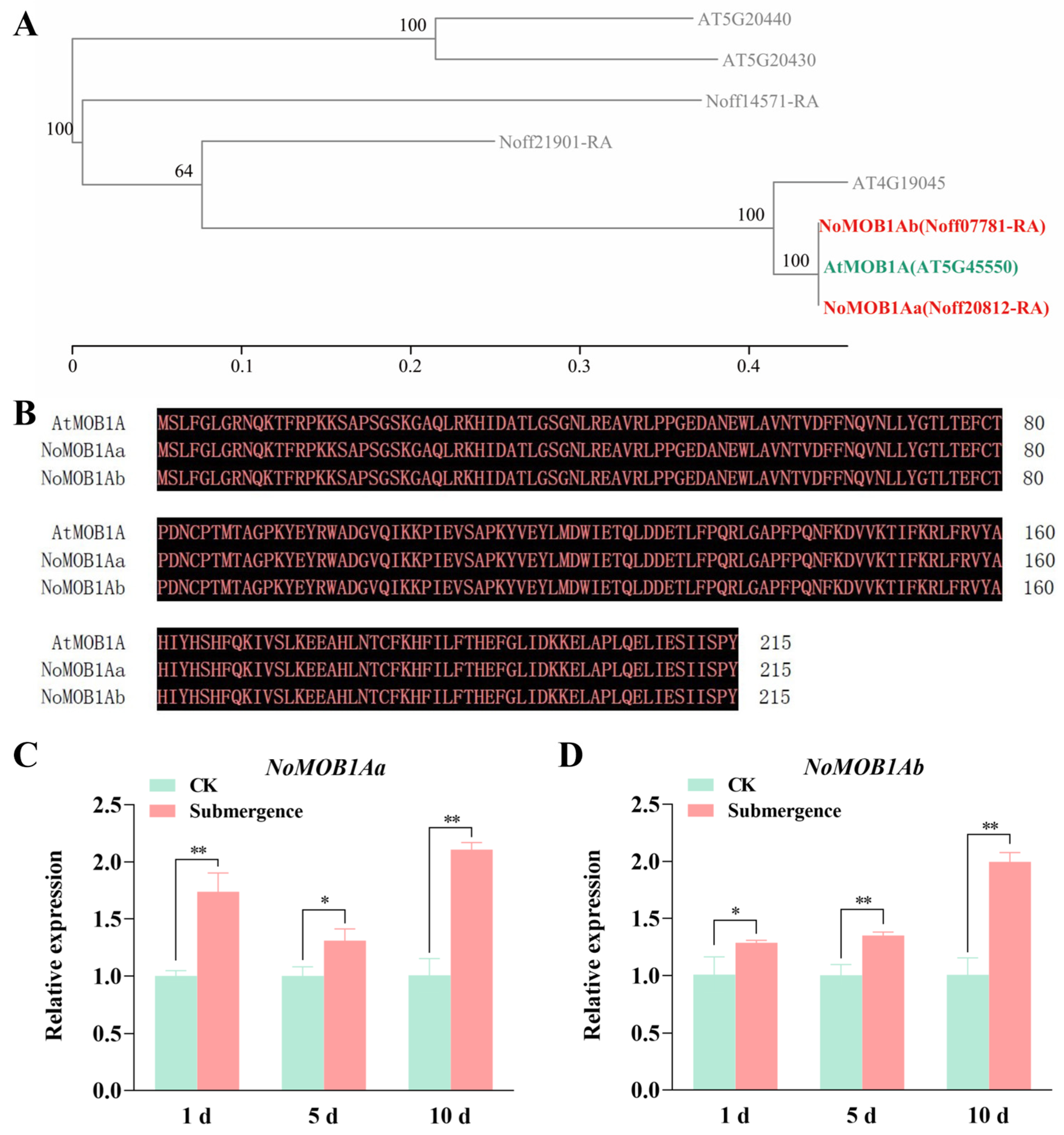 Horticulturae 10 01219 g010