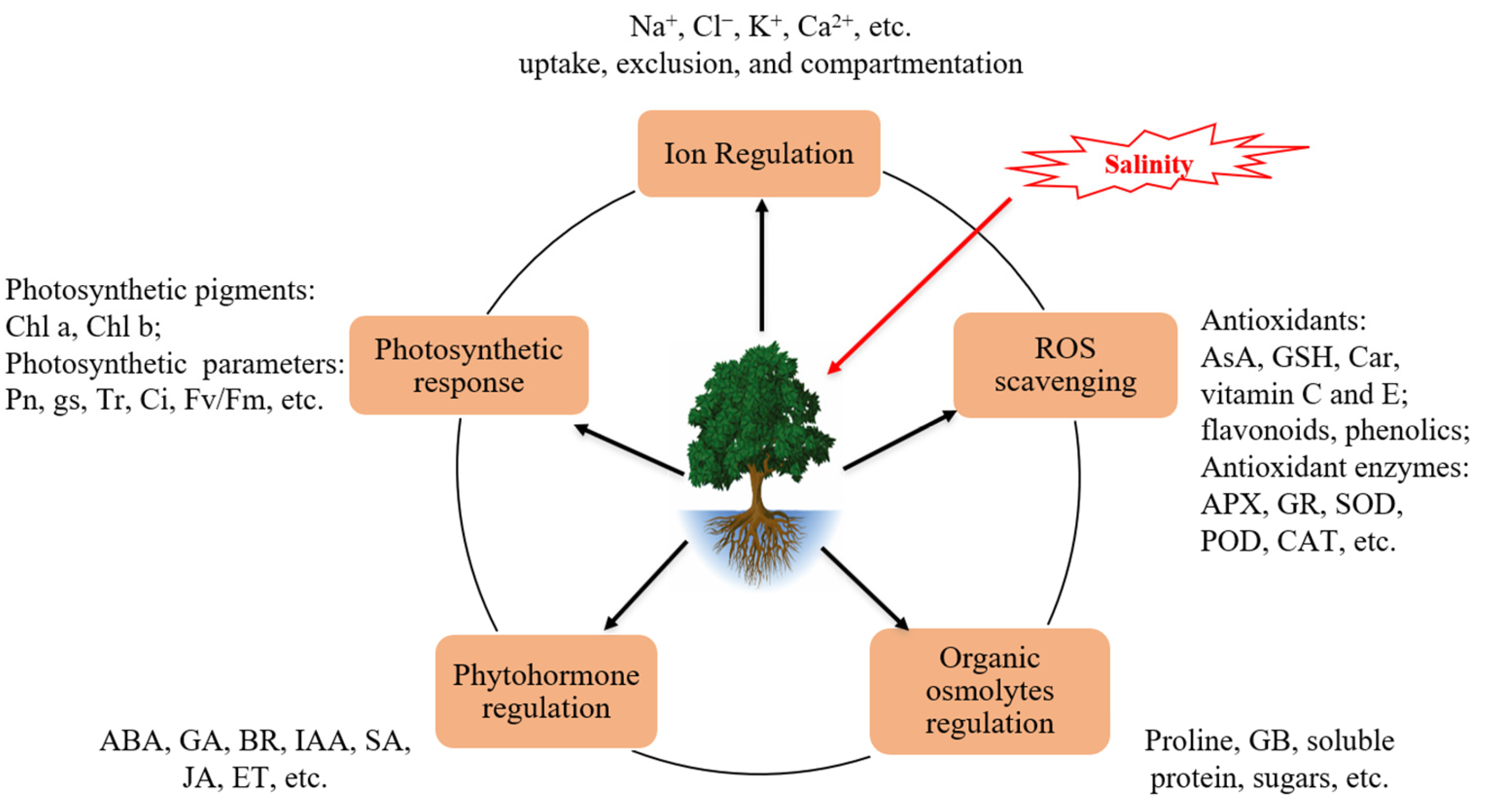 Horticulturae 10 01221 g001